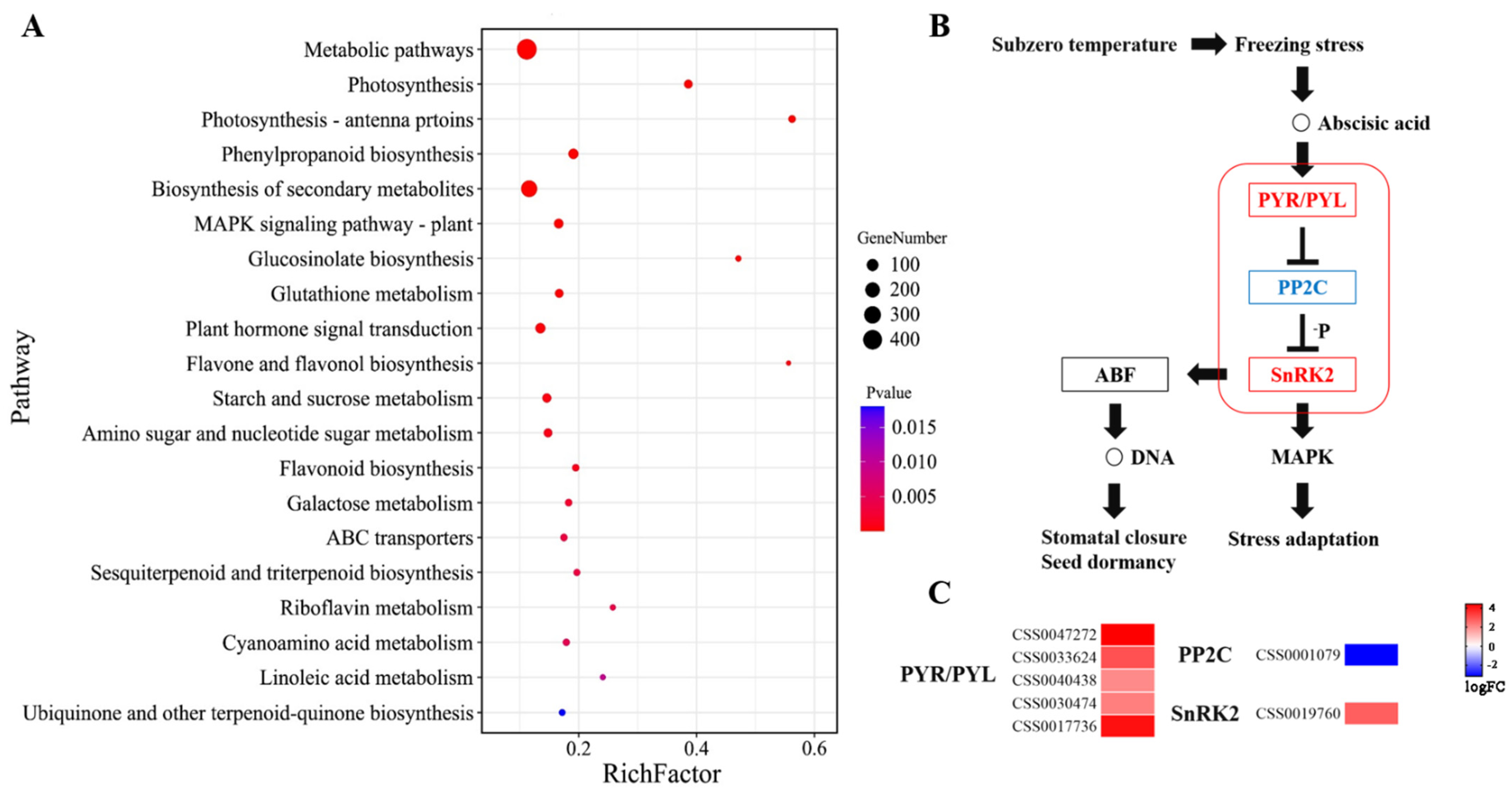Biology 10 00996 g002 550