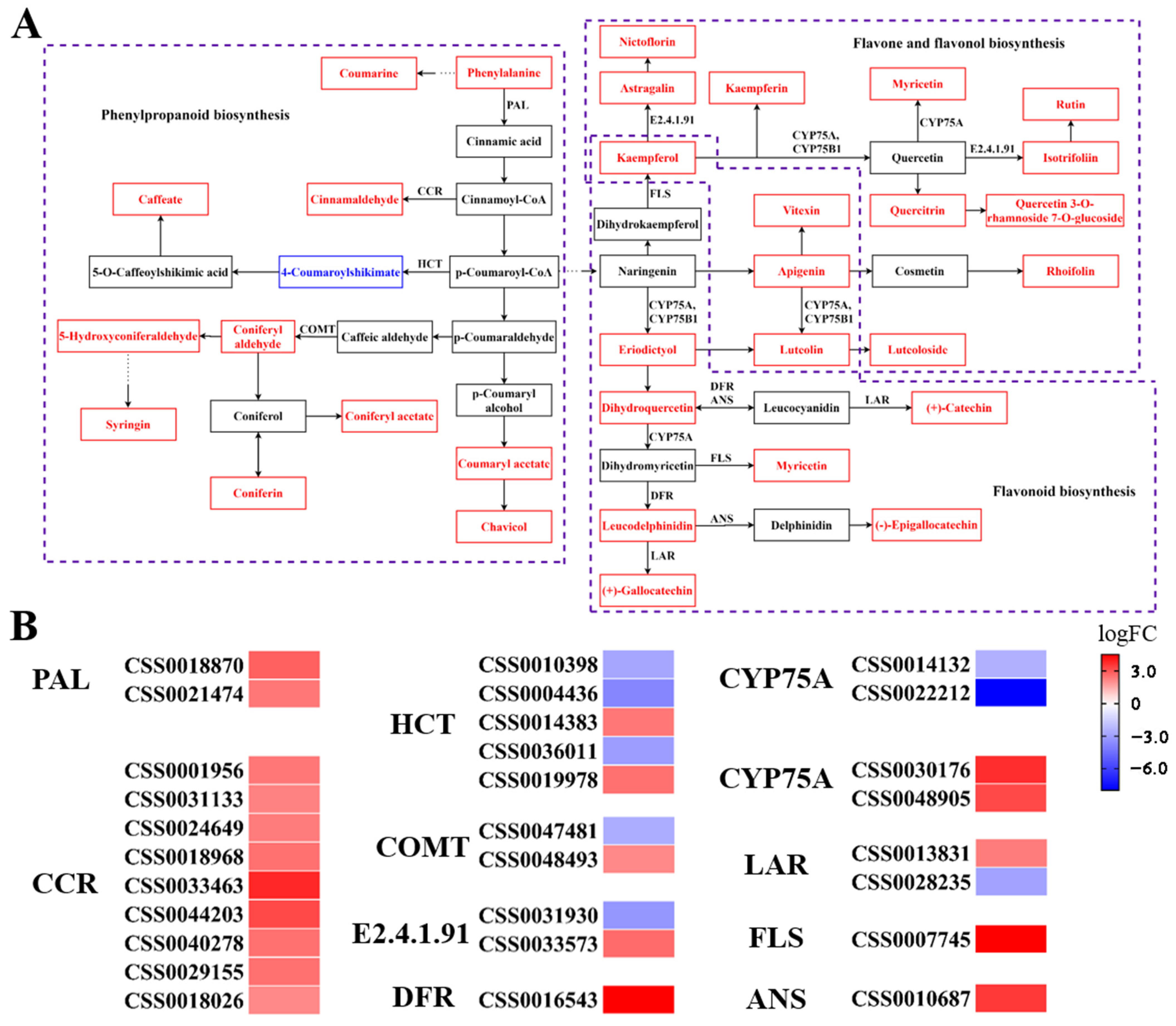 Biology 10 00996 g004 550