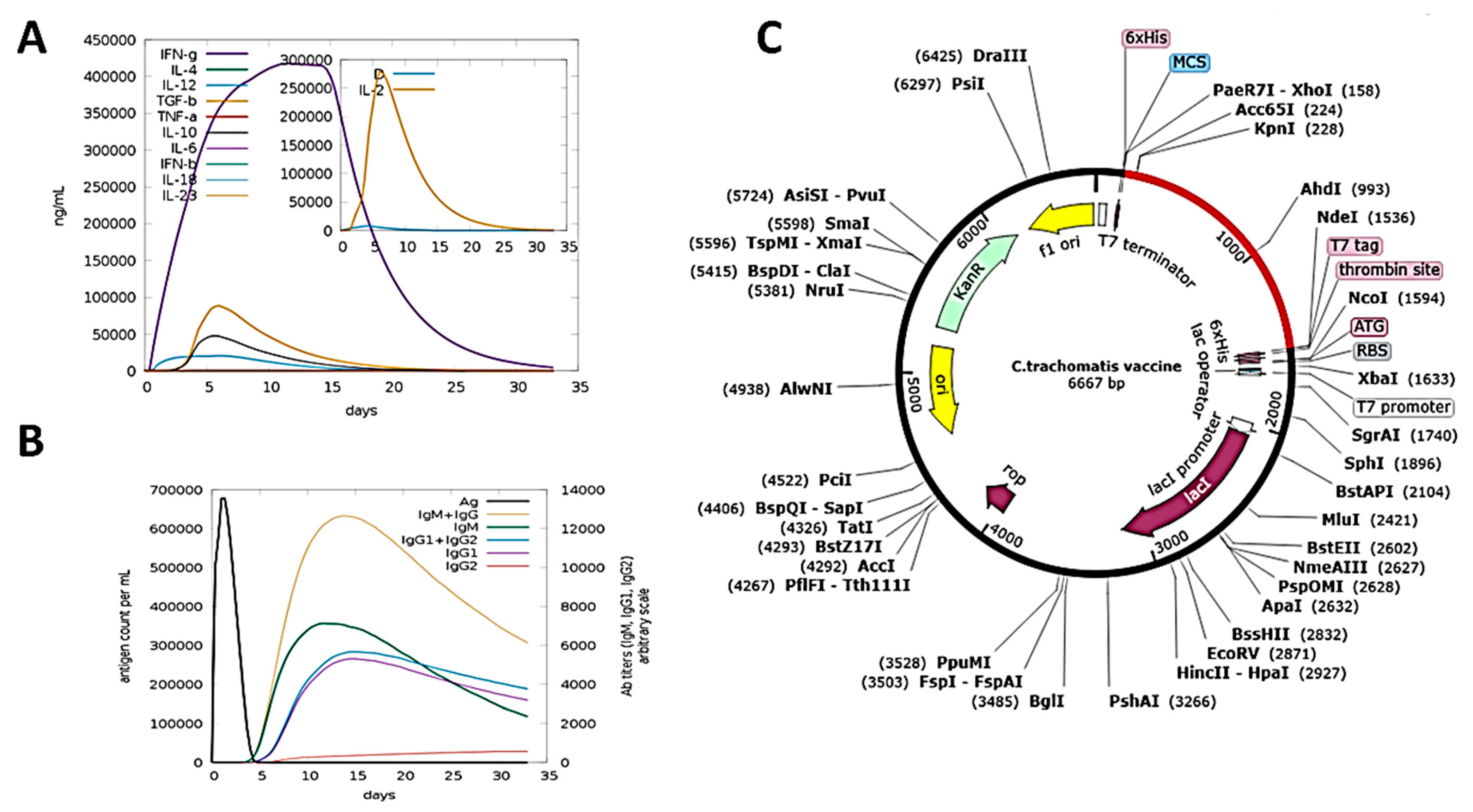 Biology 10 00997 g005 550