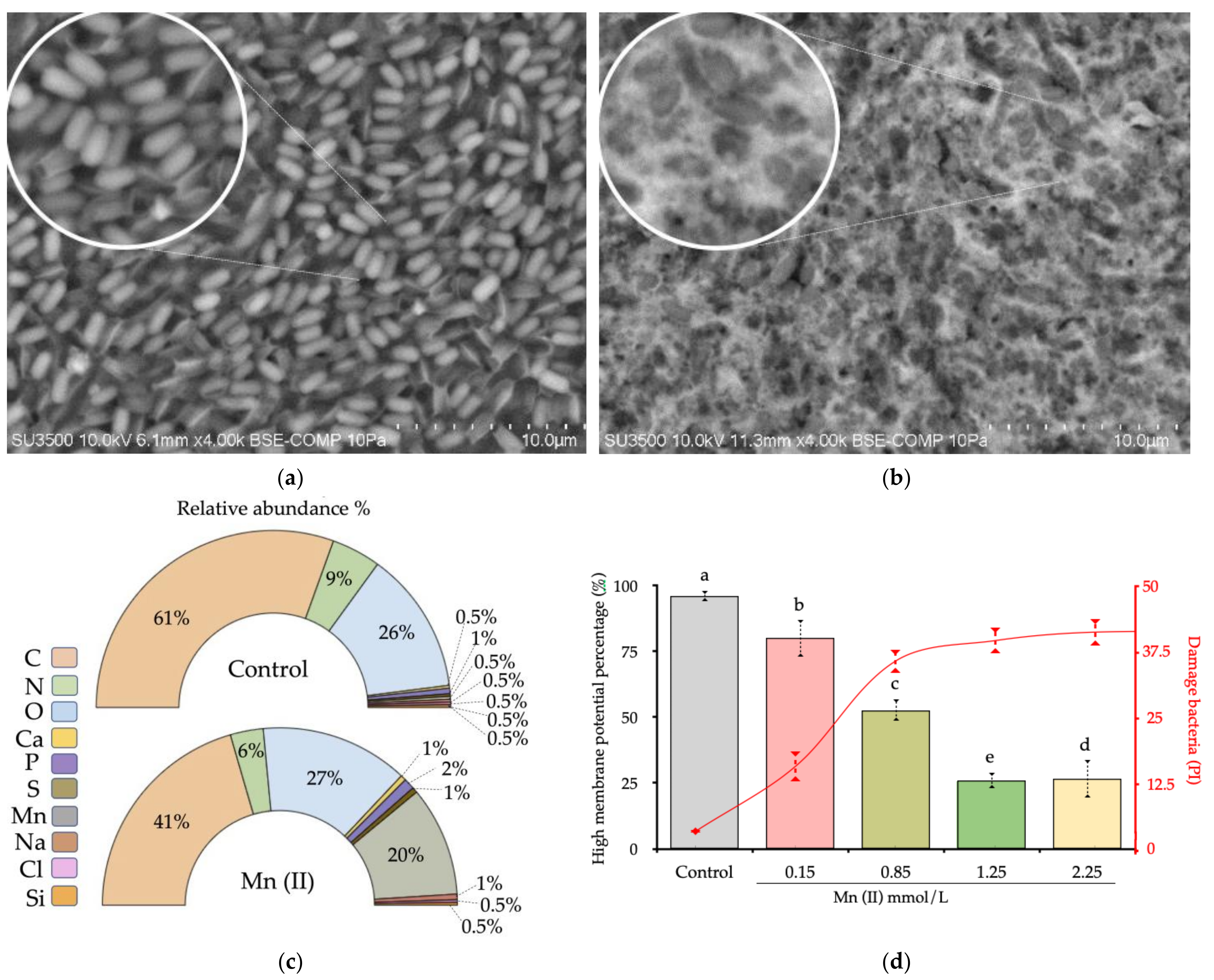 Biology 10 01004 g006
