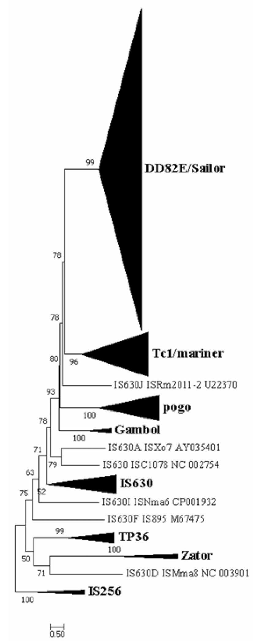 Biology 10 01005 g002 Biology 10 01005 g002