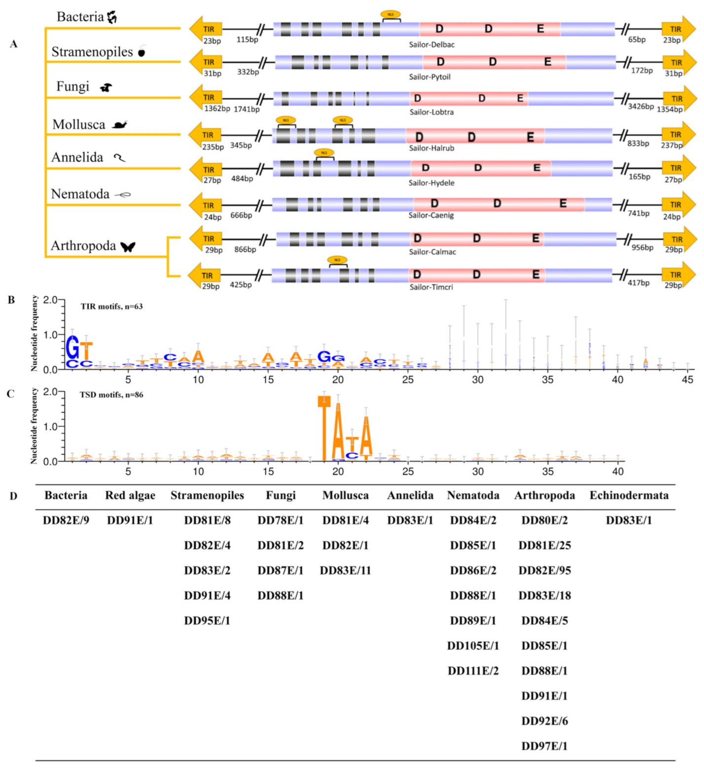 Biology 10 01005 g004 Biology 10 01005 g004