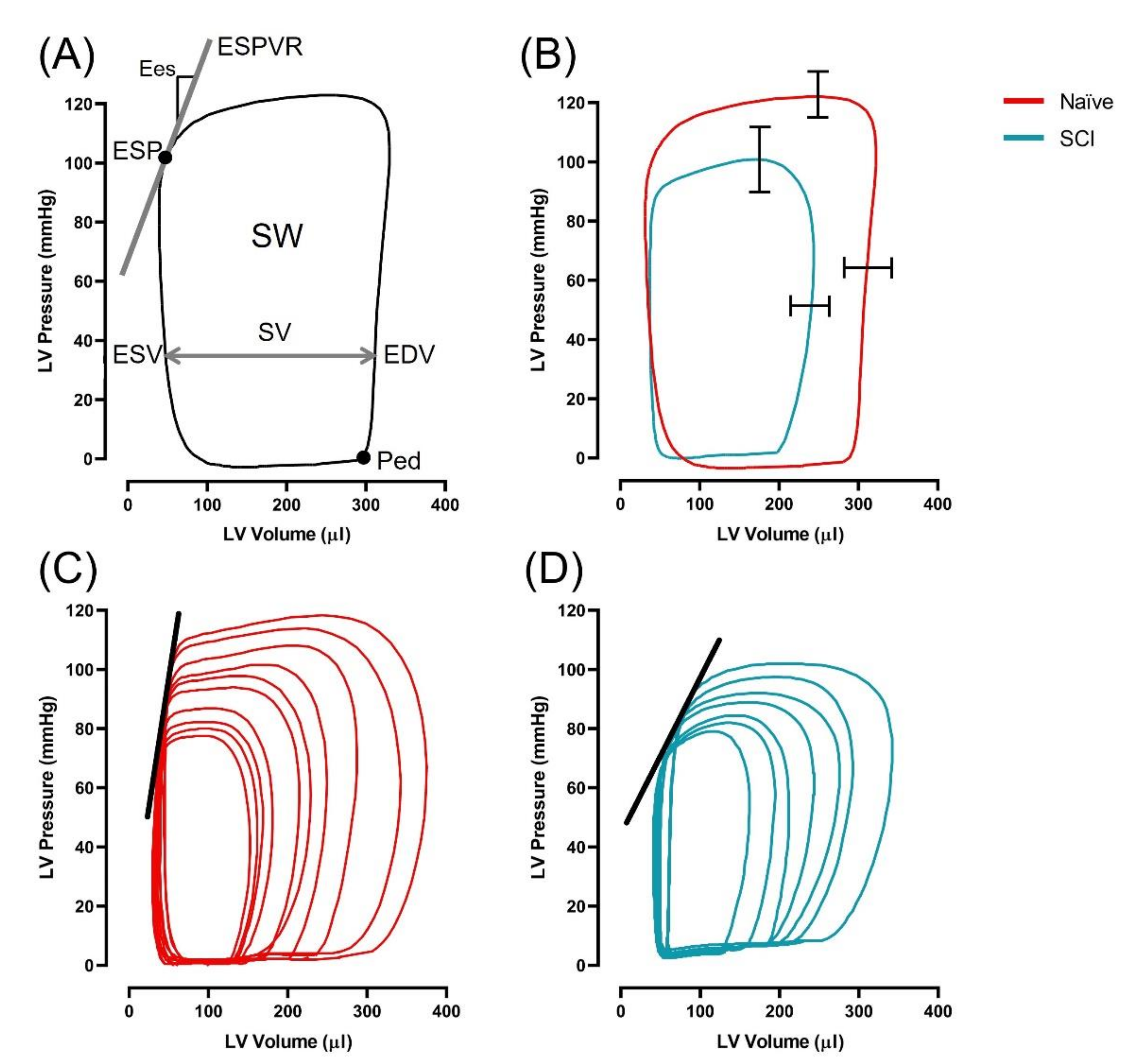 Biology 10 01006 g004
