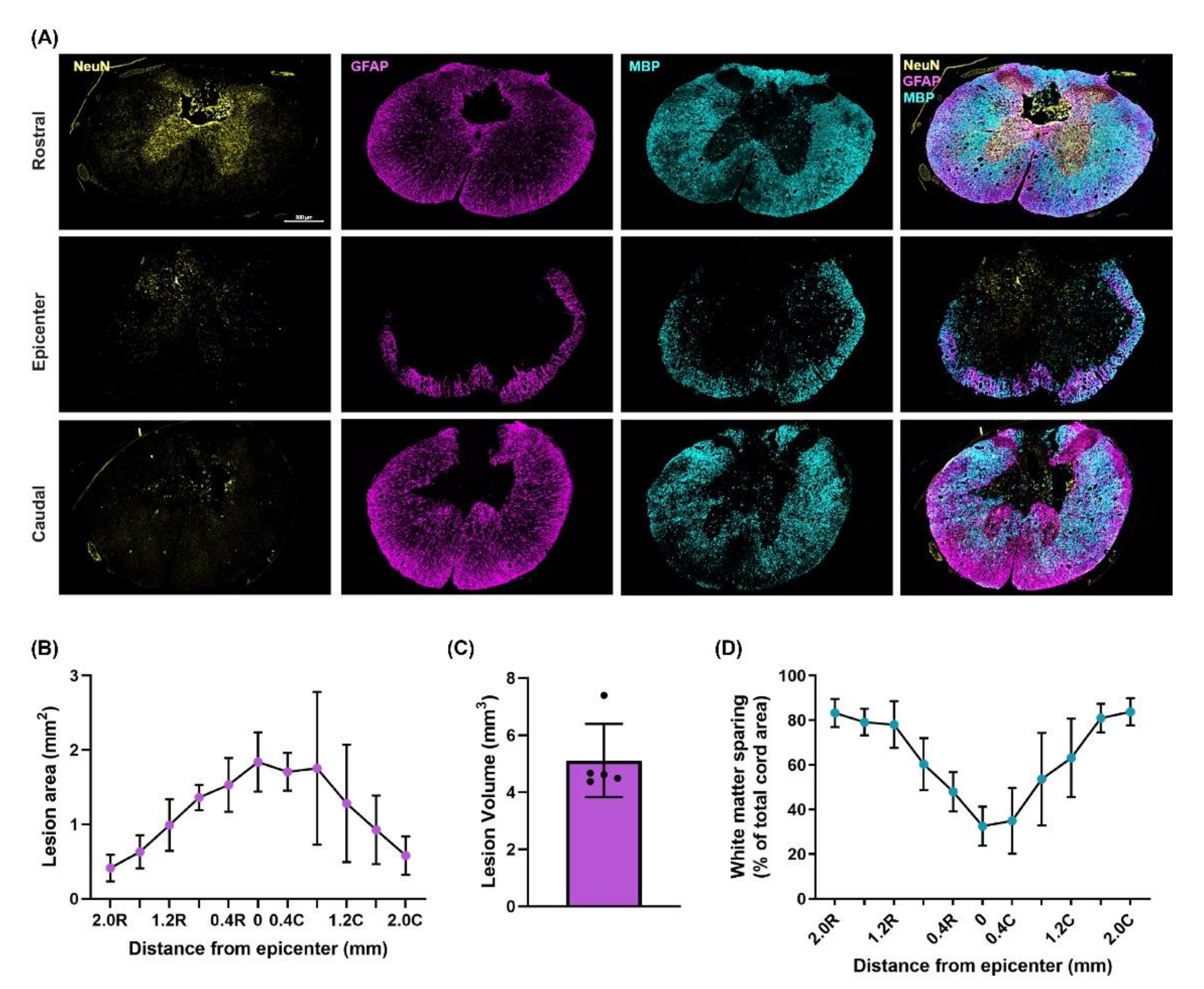 Biology 10 01006 g005