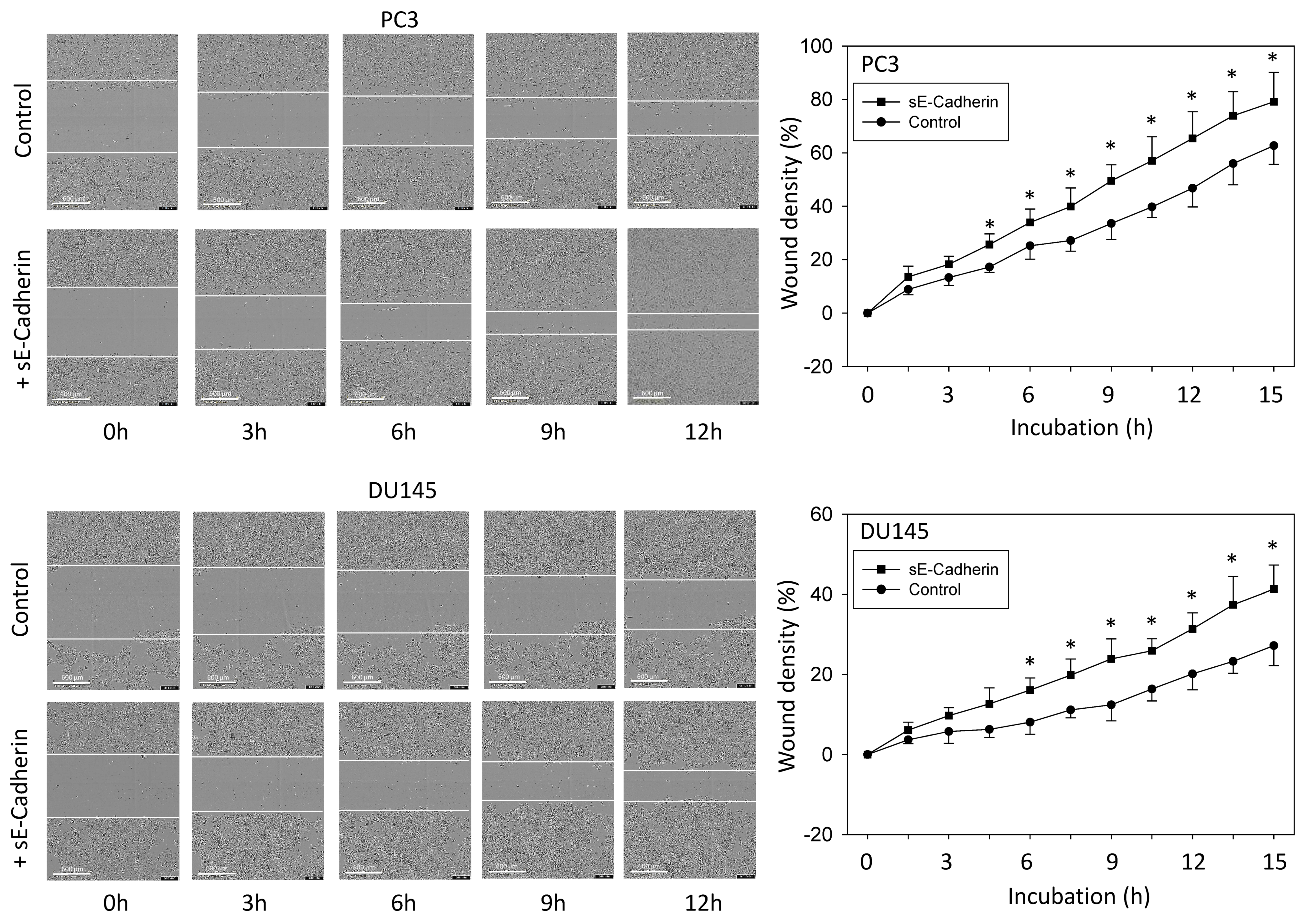 Biology 10 01007 g003 550