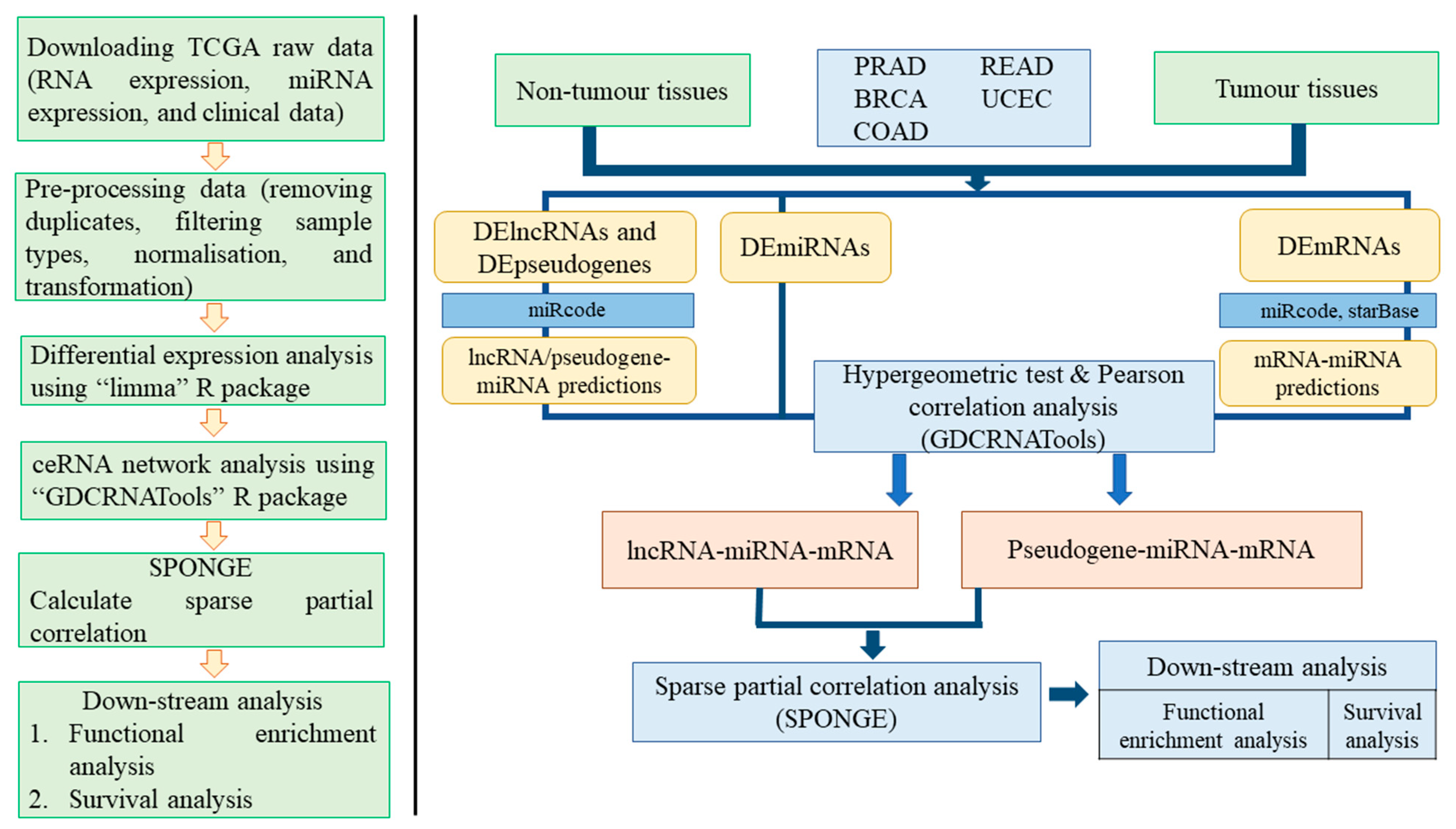 Biology 10 01014 g001