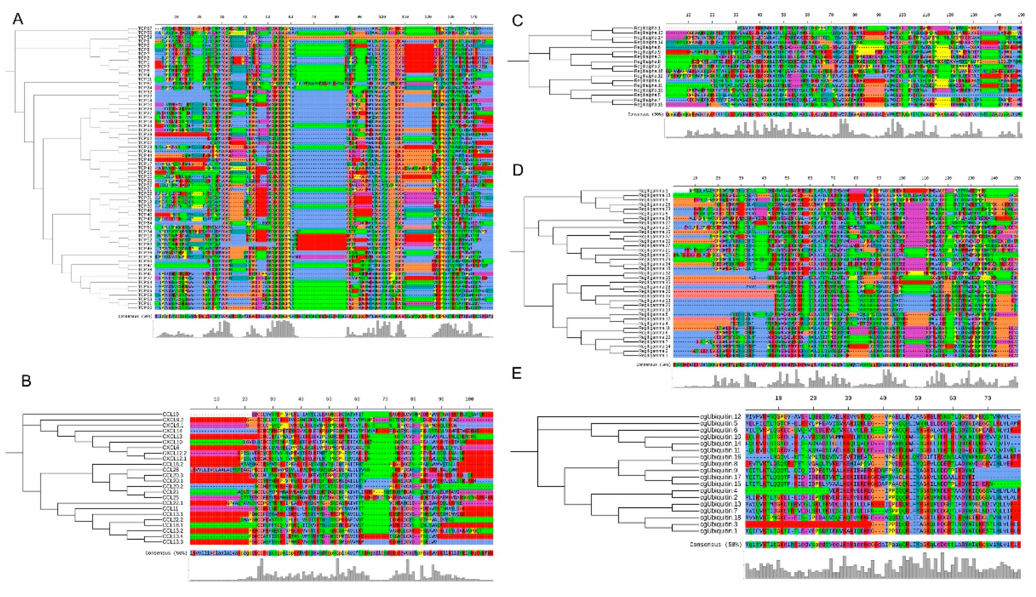 Biology 10 01015 g003