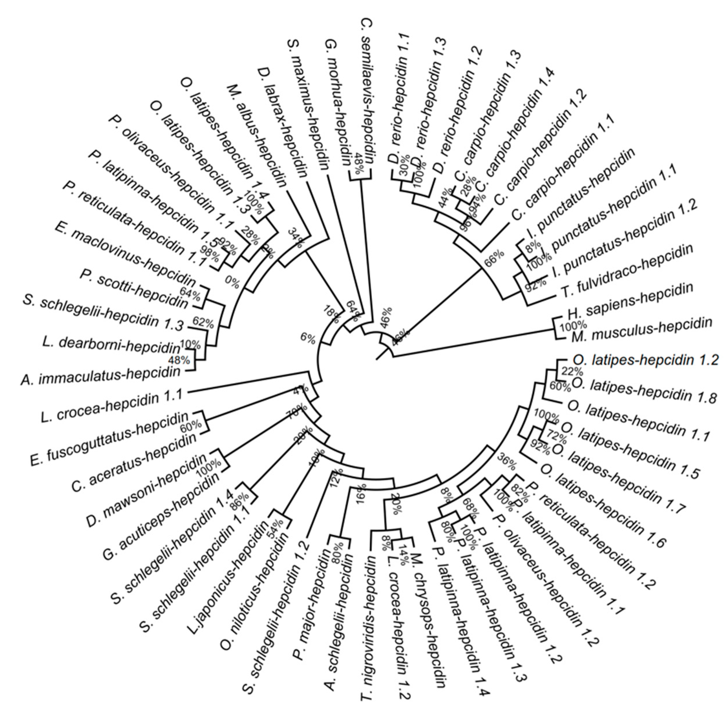 Biology 10 01015 g006