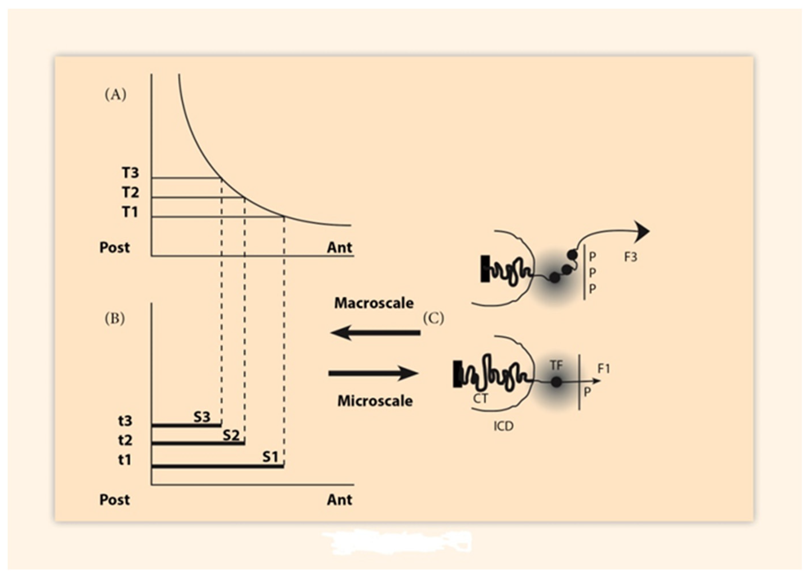 Biology 10 01018 g001