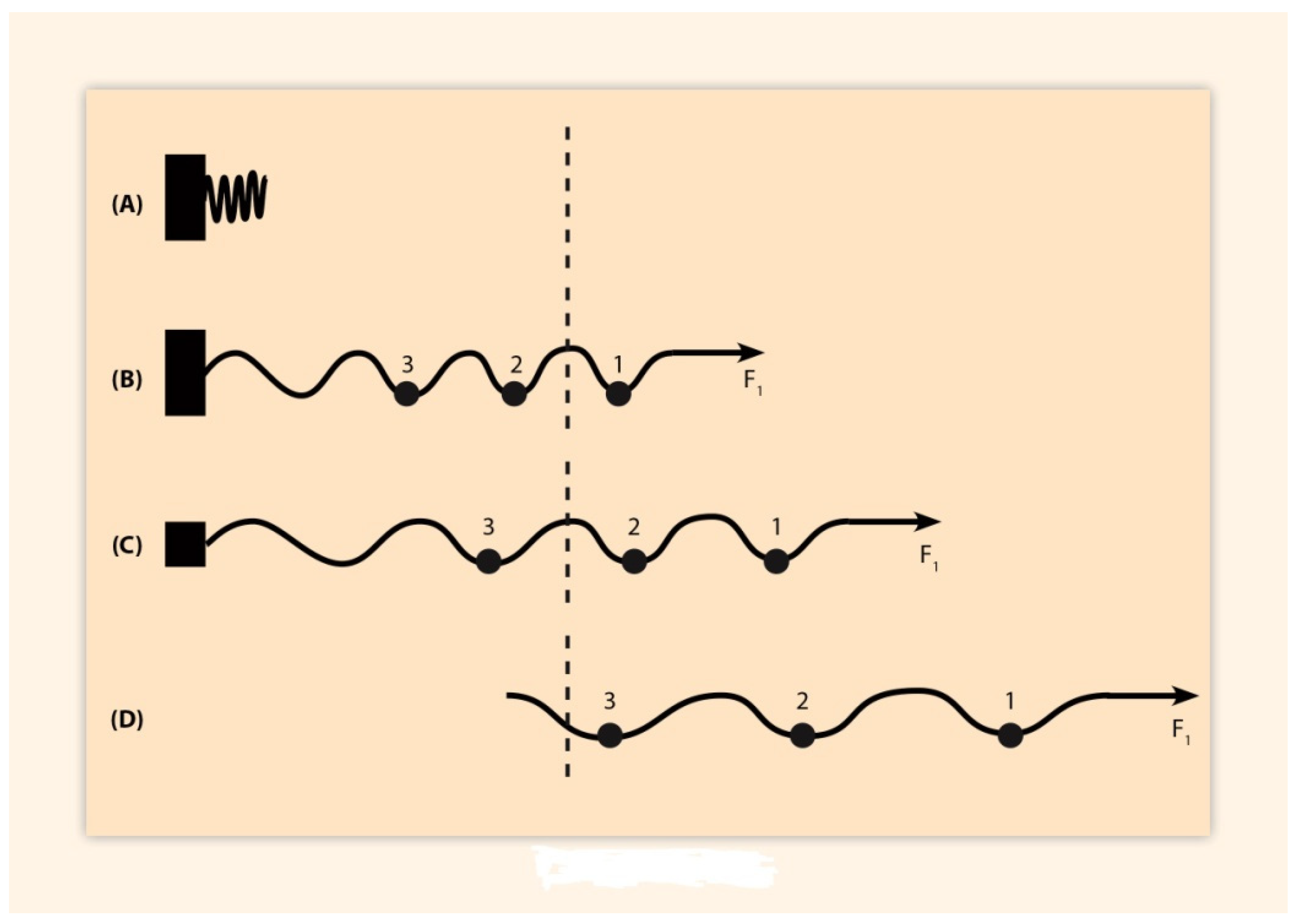 Biology 10 01018 g002
