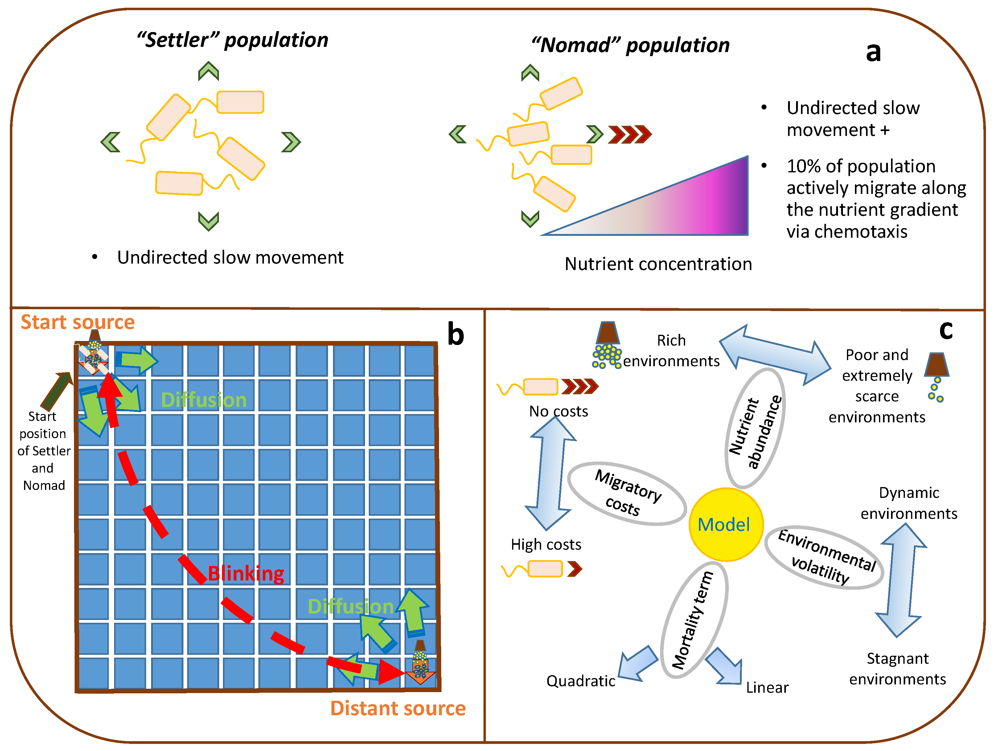 Biology 10 01019 g001
