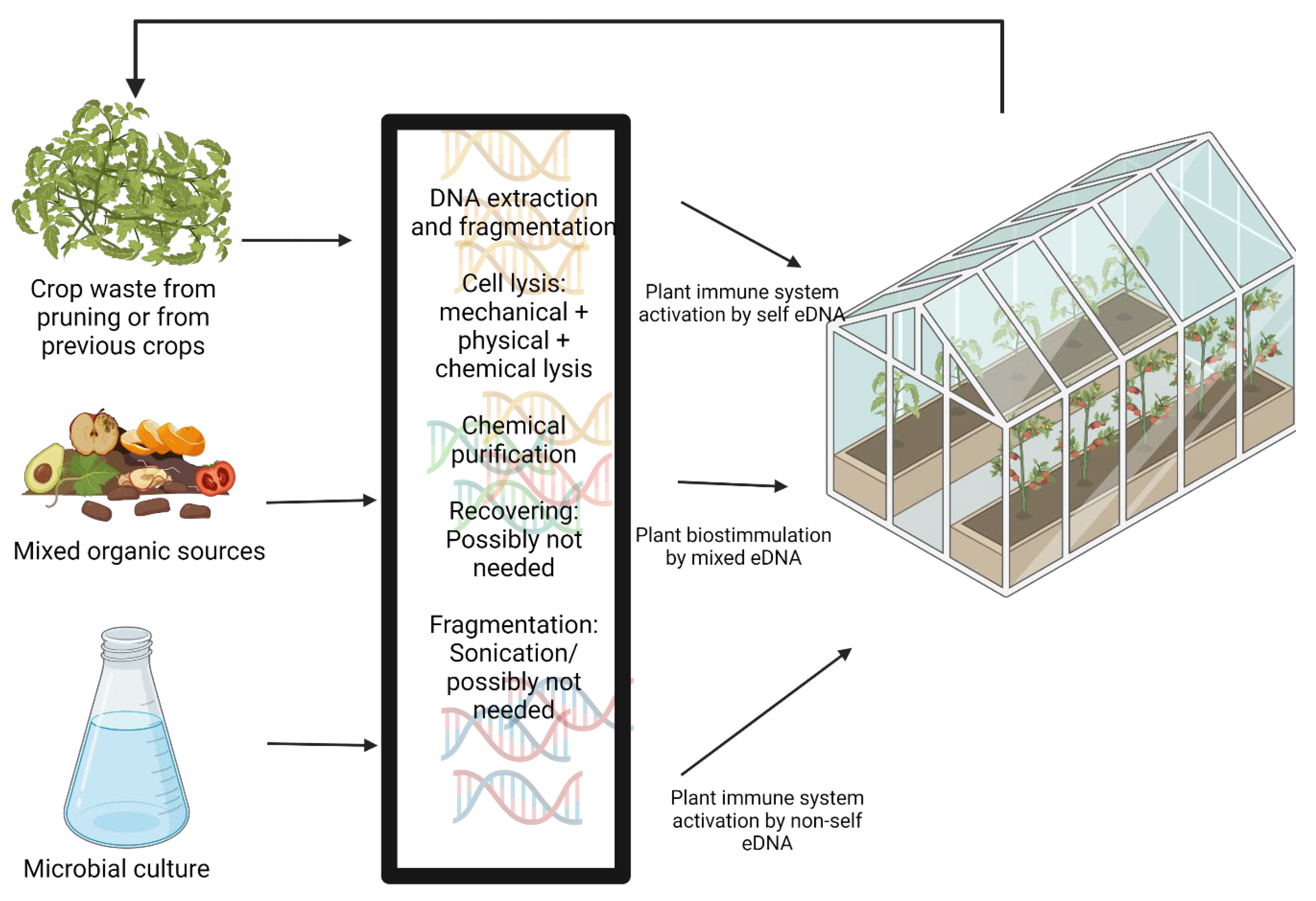 Biology 10 01022 g001
