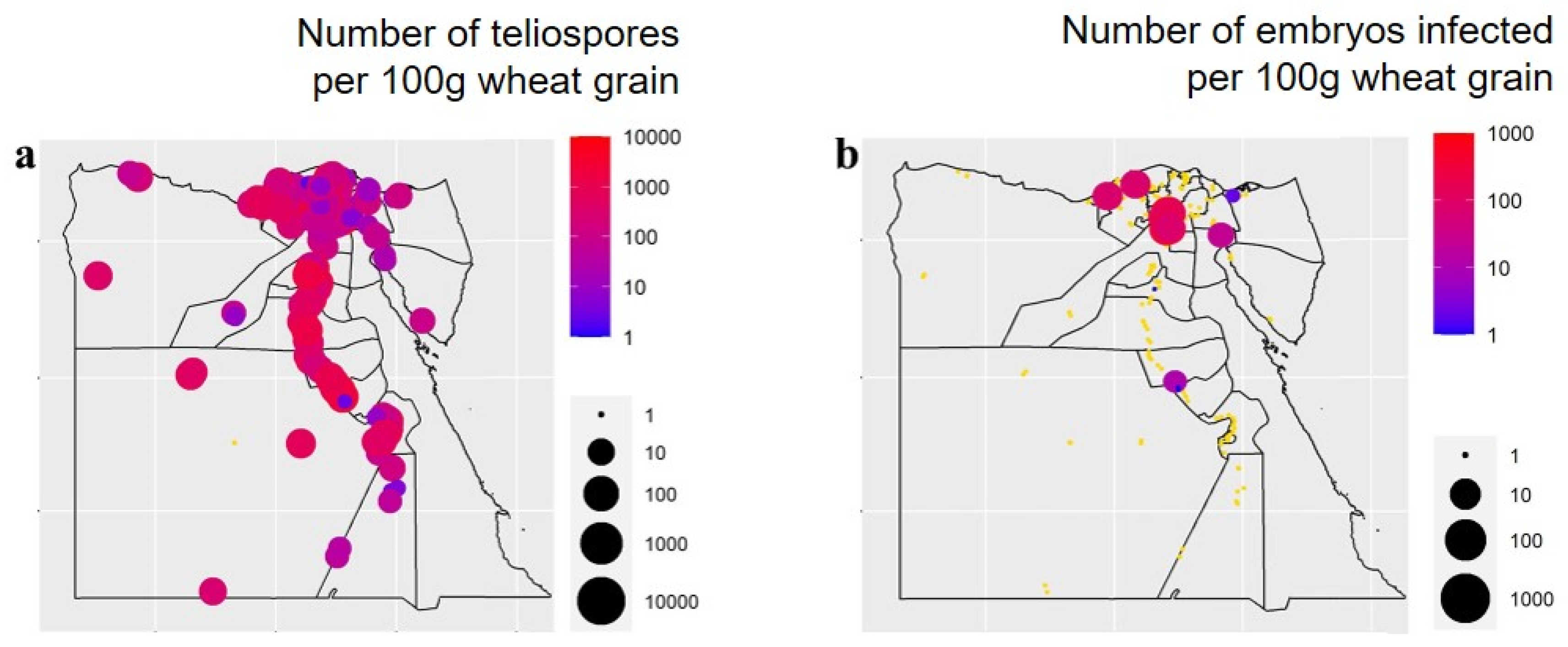 Biology 10 01025 g005