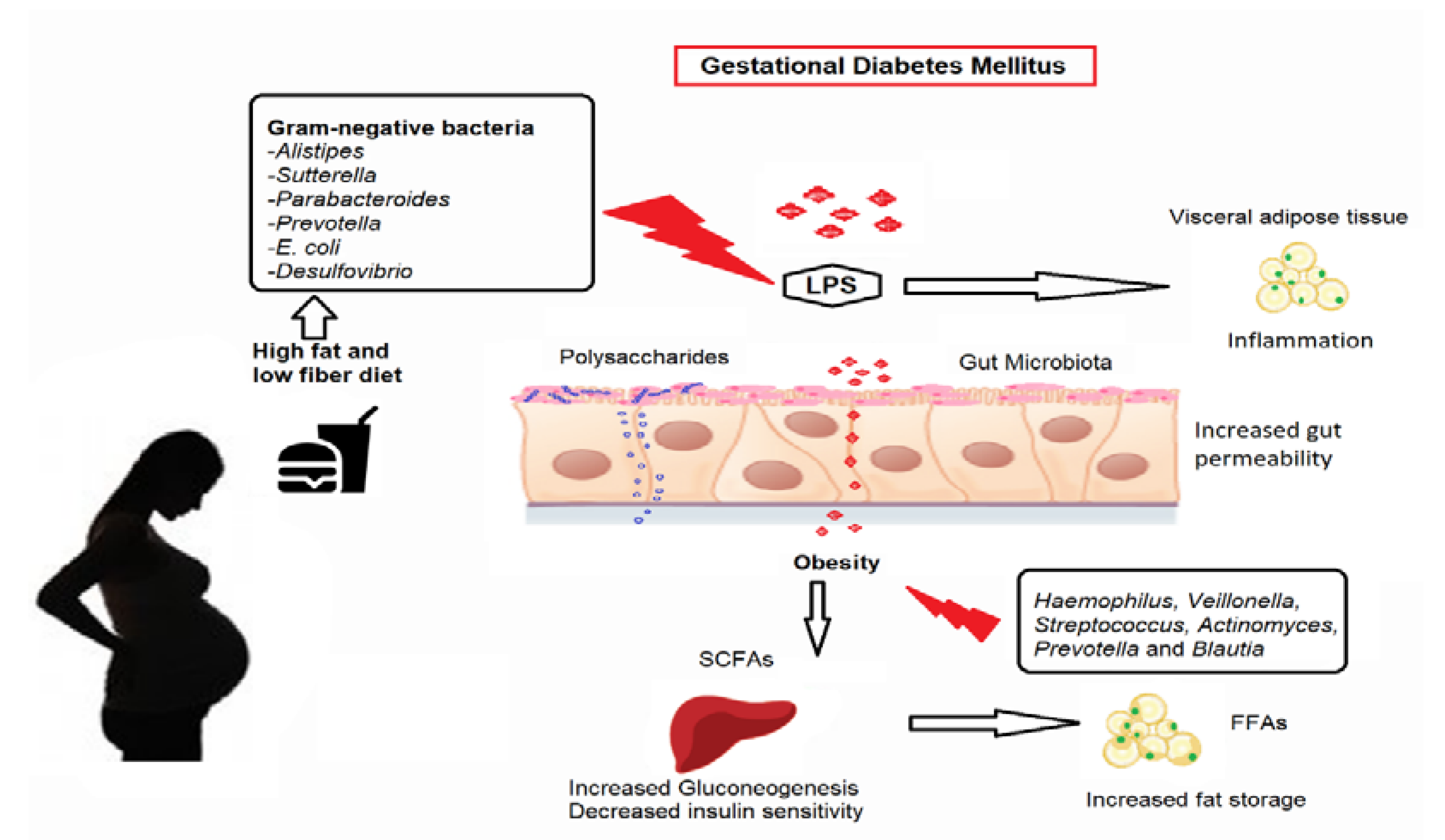 Biology 10 01027 g002