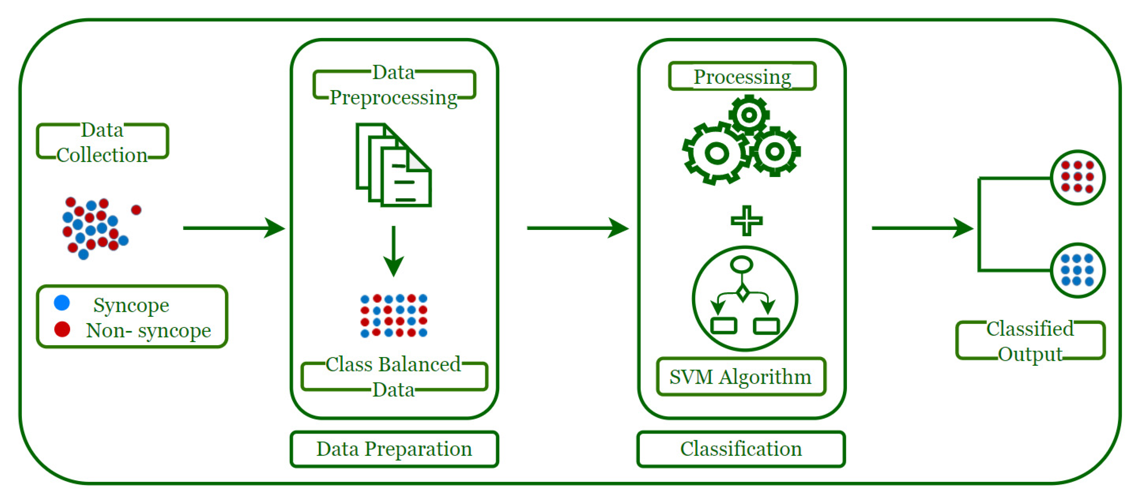 Biology 10 01029 g001