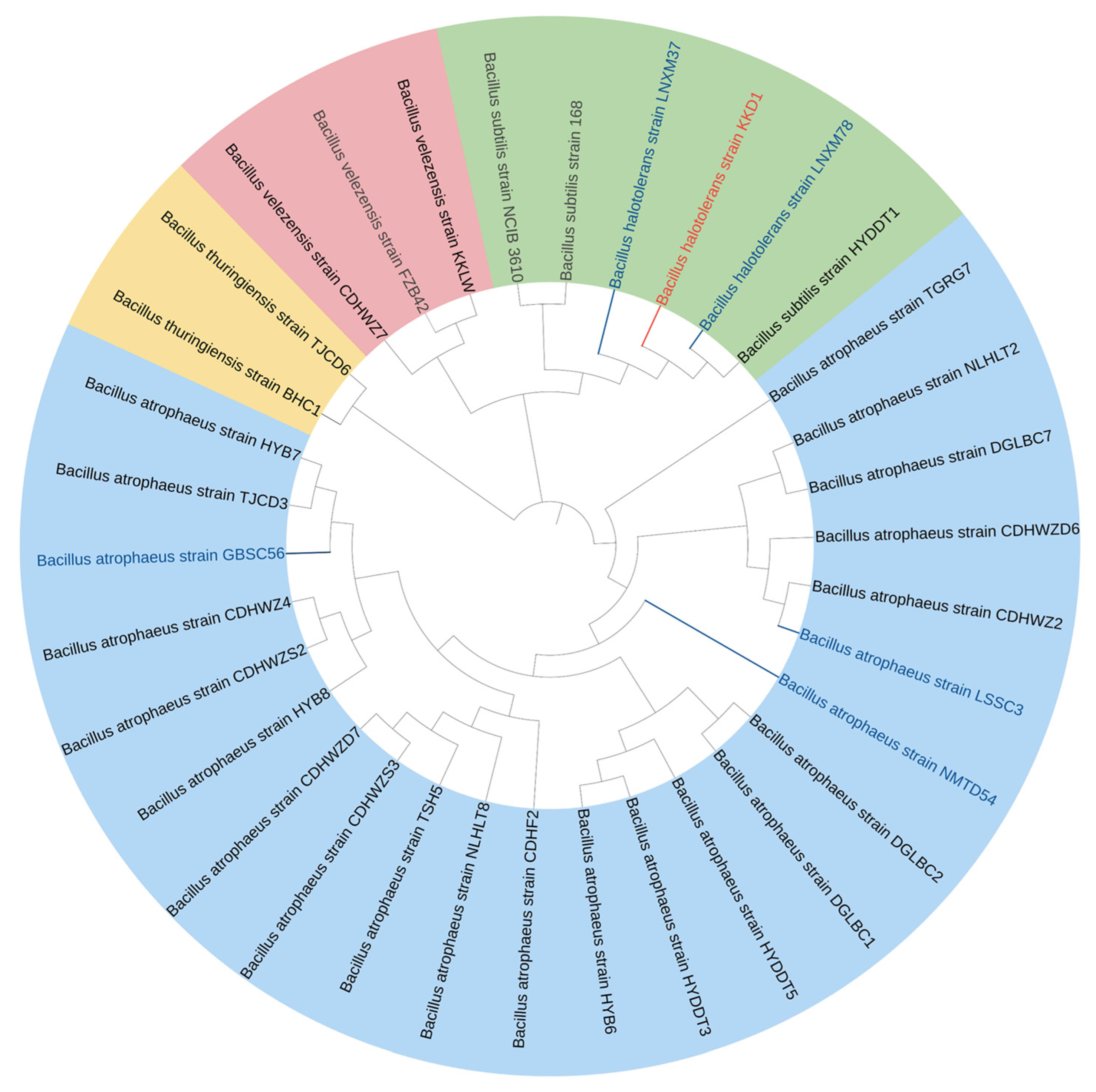 Biology 10 01030 g001