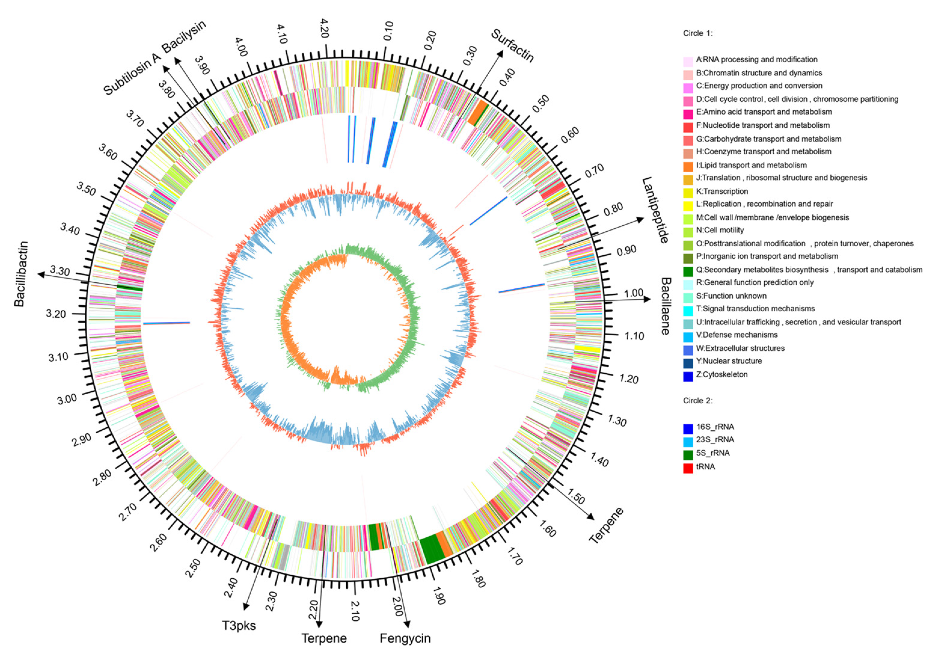 Biology 10 01030 g002