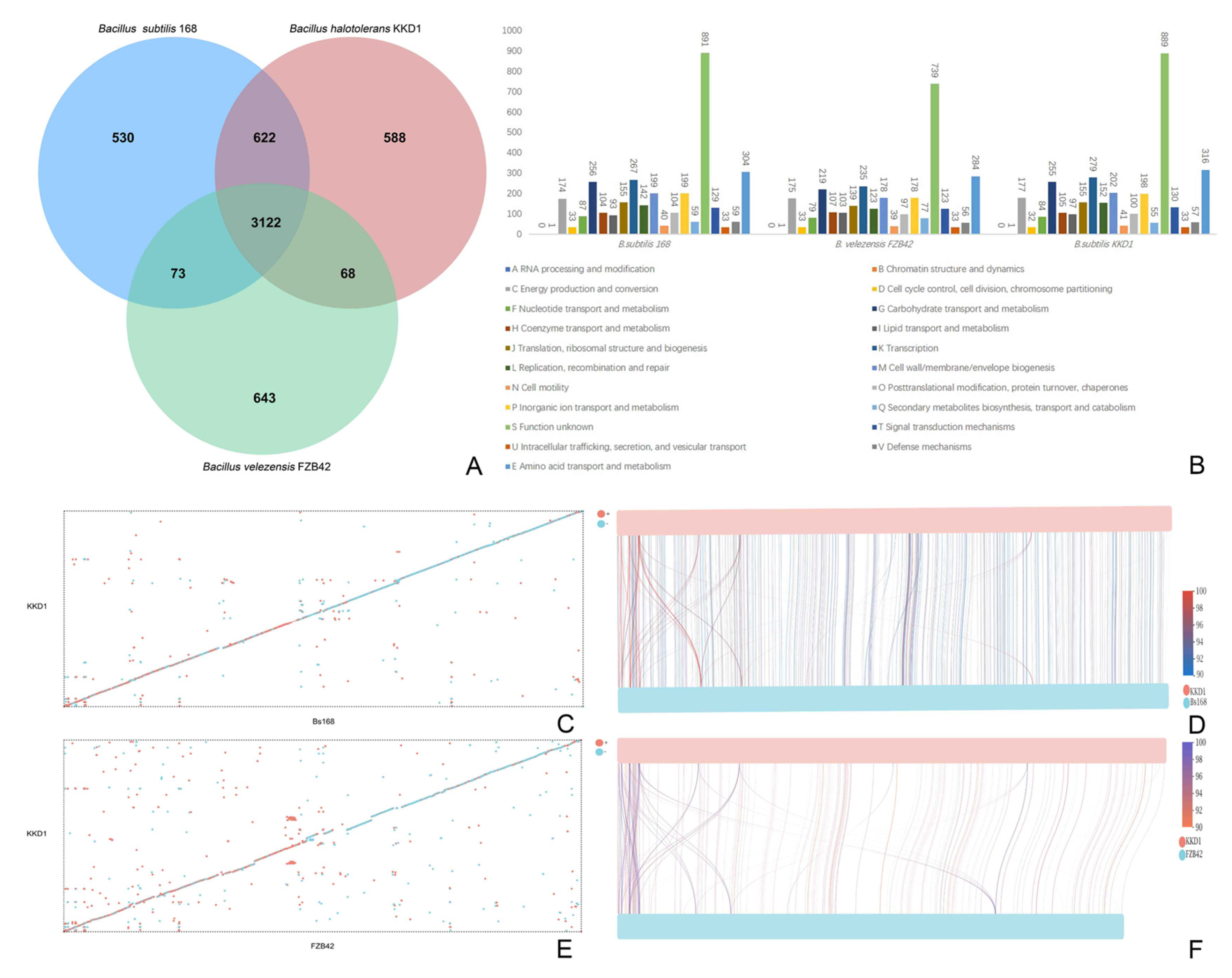 Biology 10 01030 g003