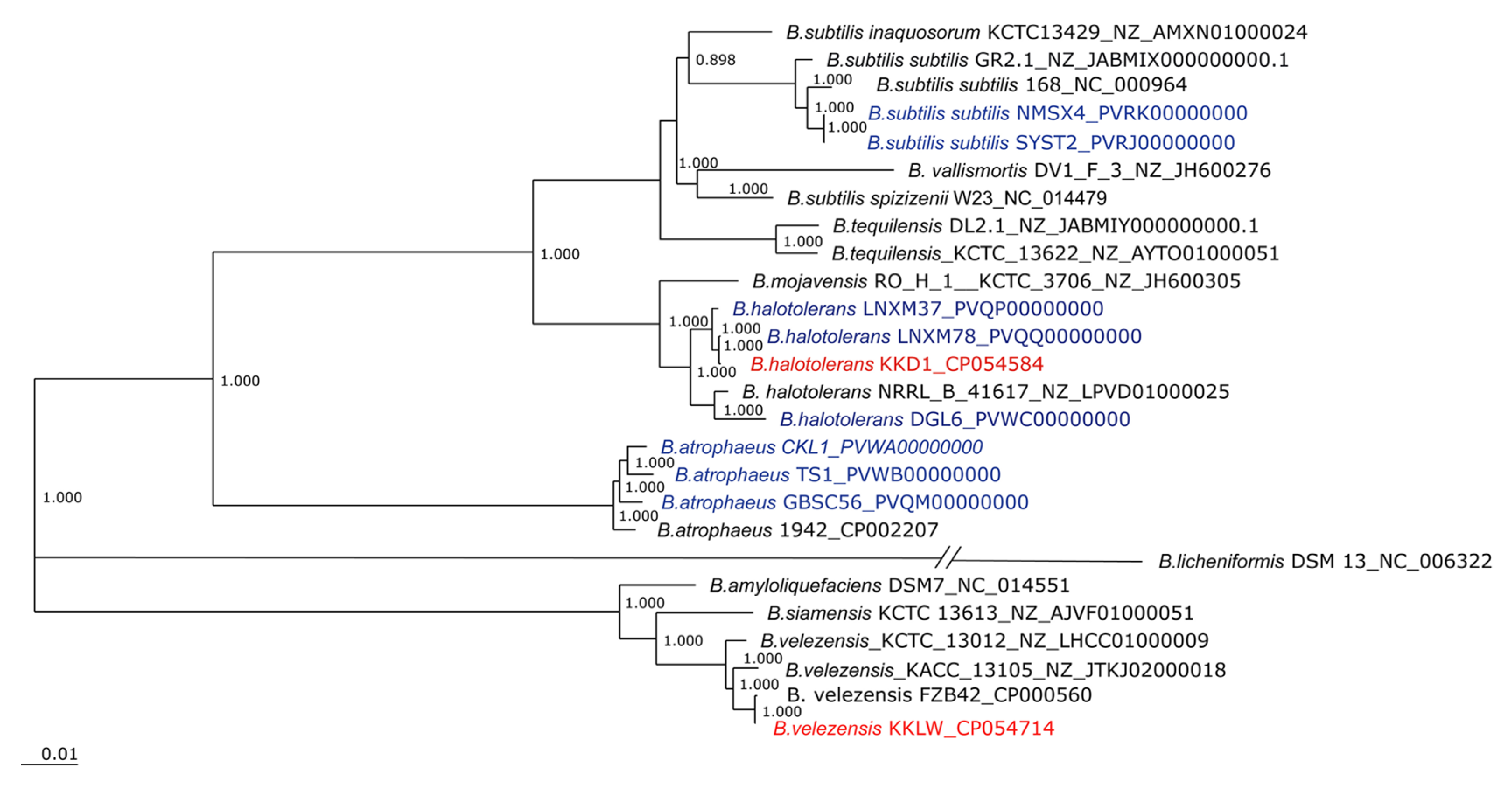 Biology 10 01030 g004