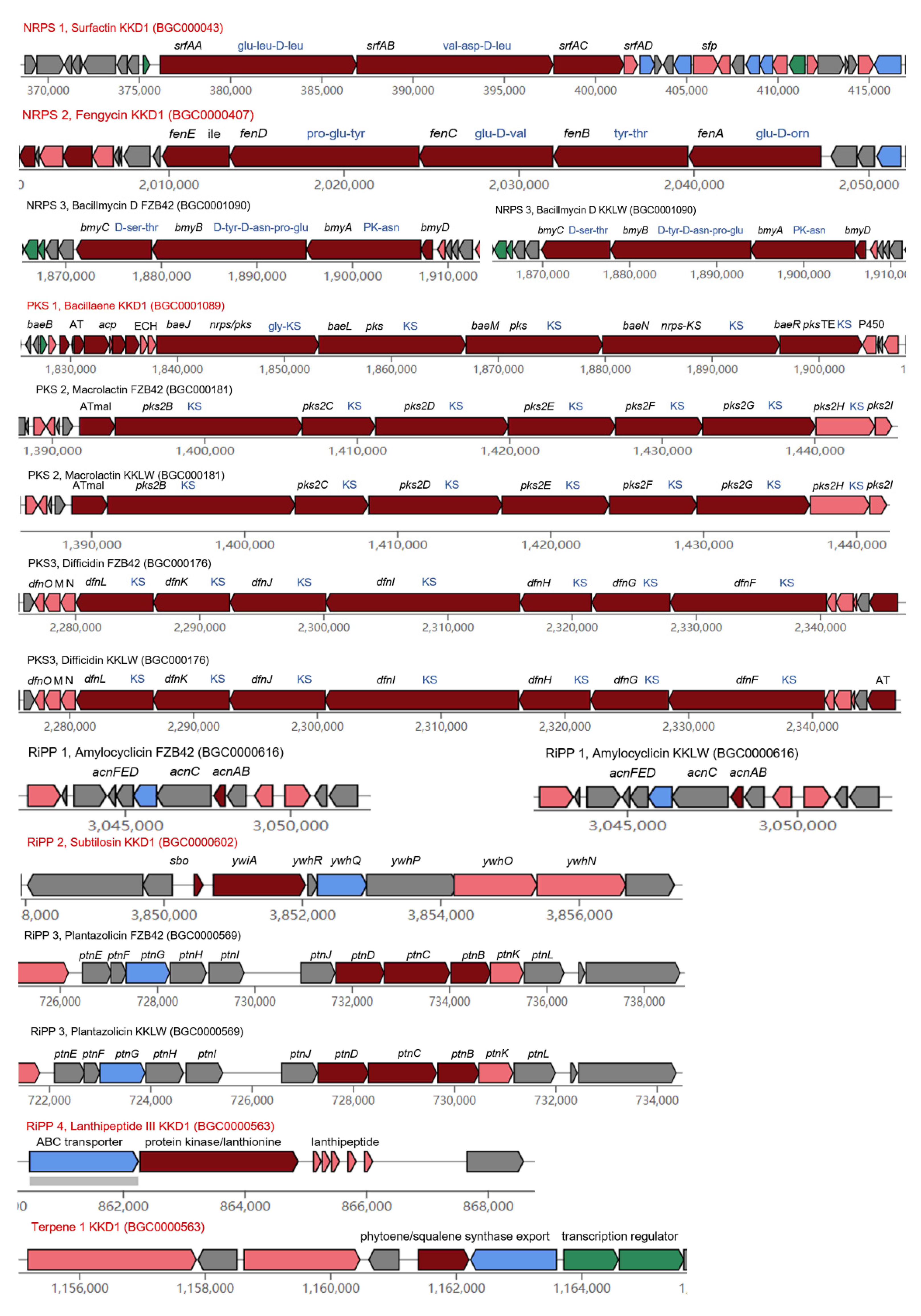 Biology 10 01030 g009