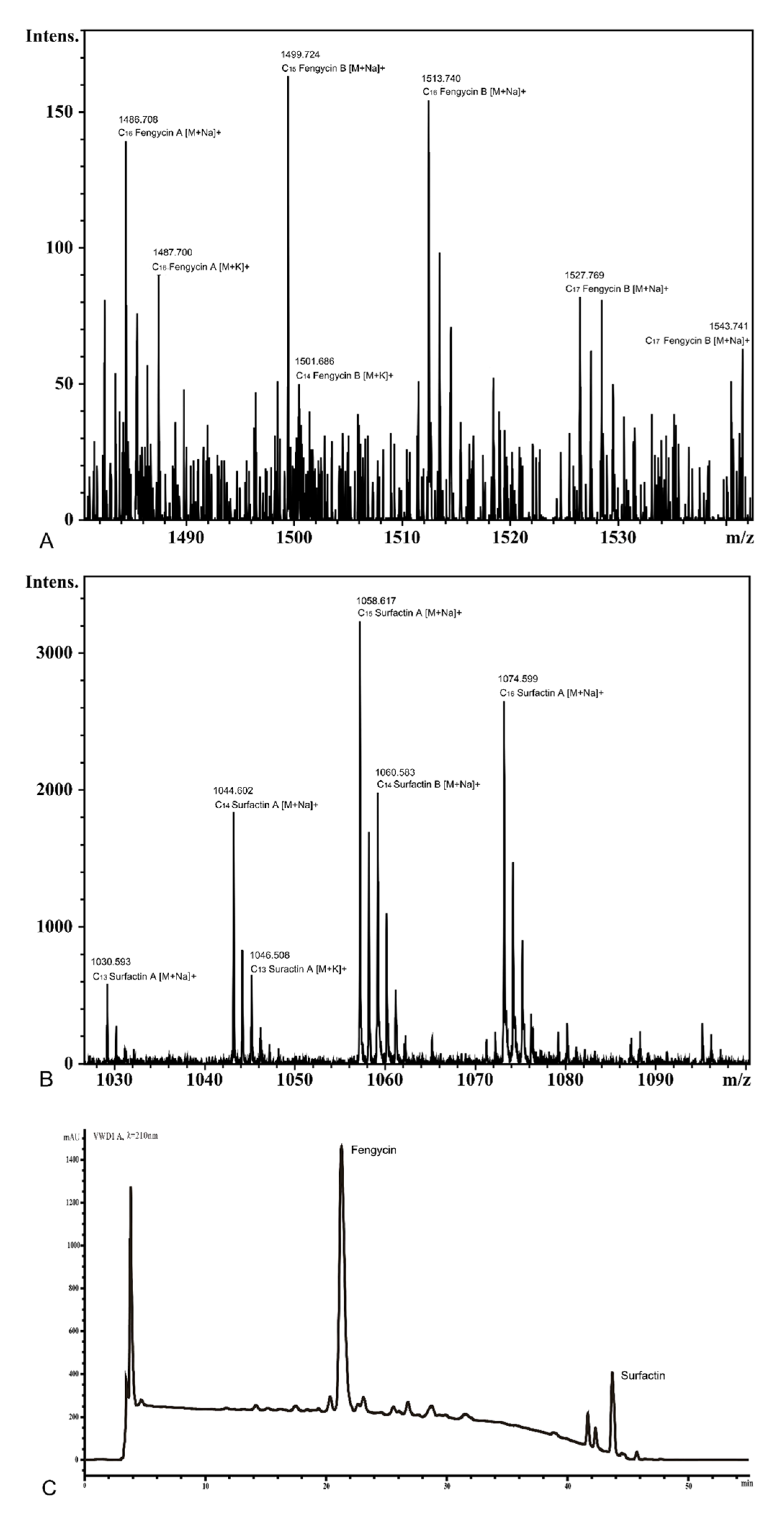 Biology 10 01030 g010