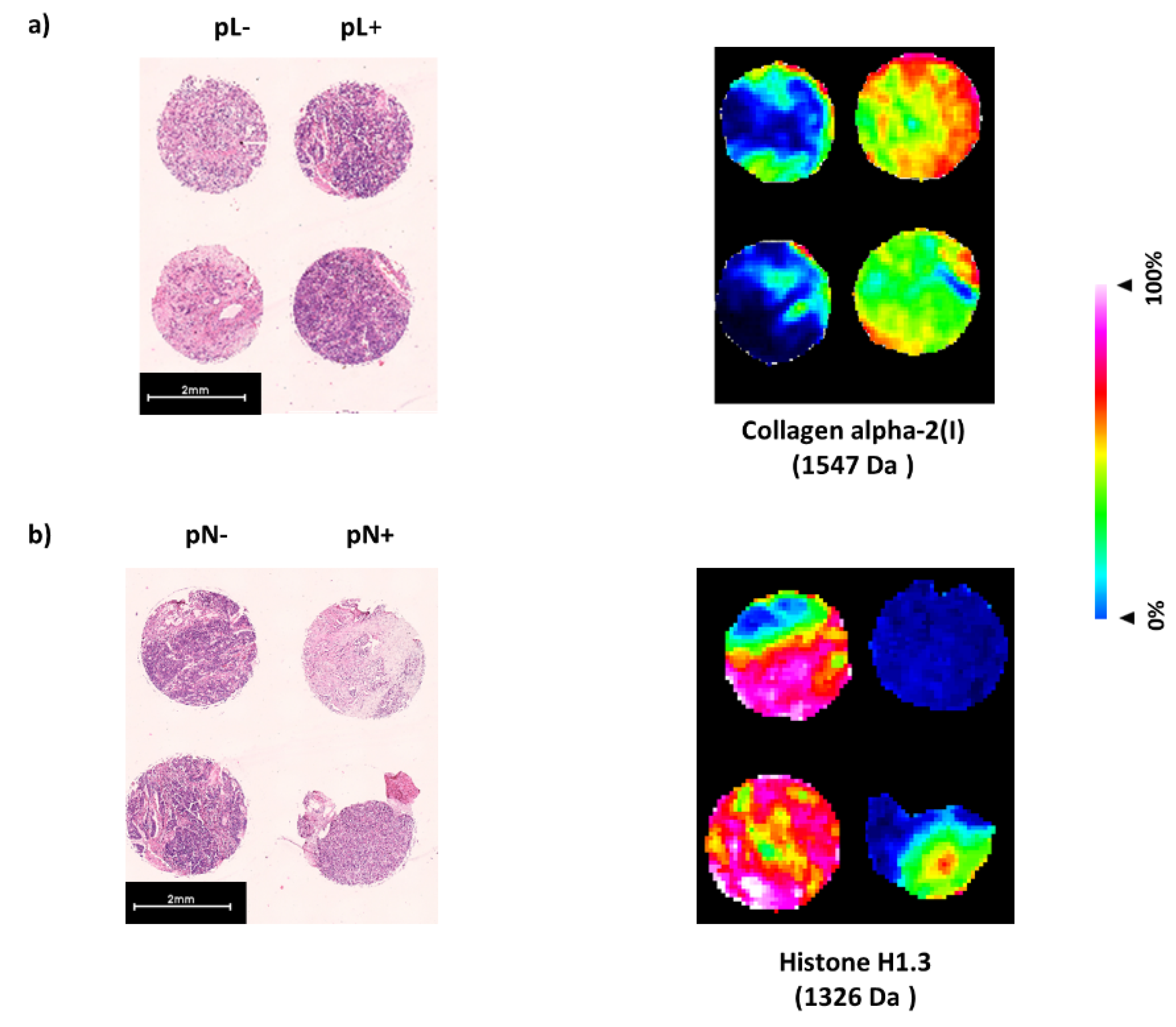 Biology 10 01033 g003