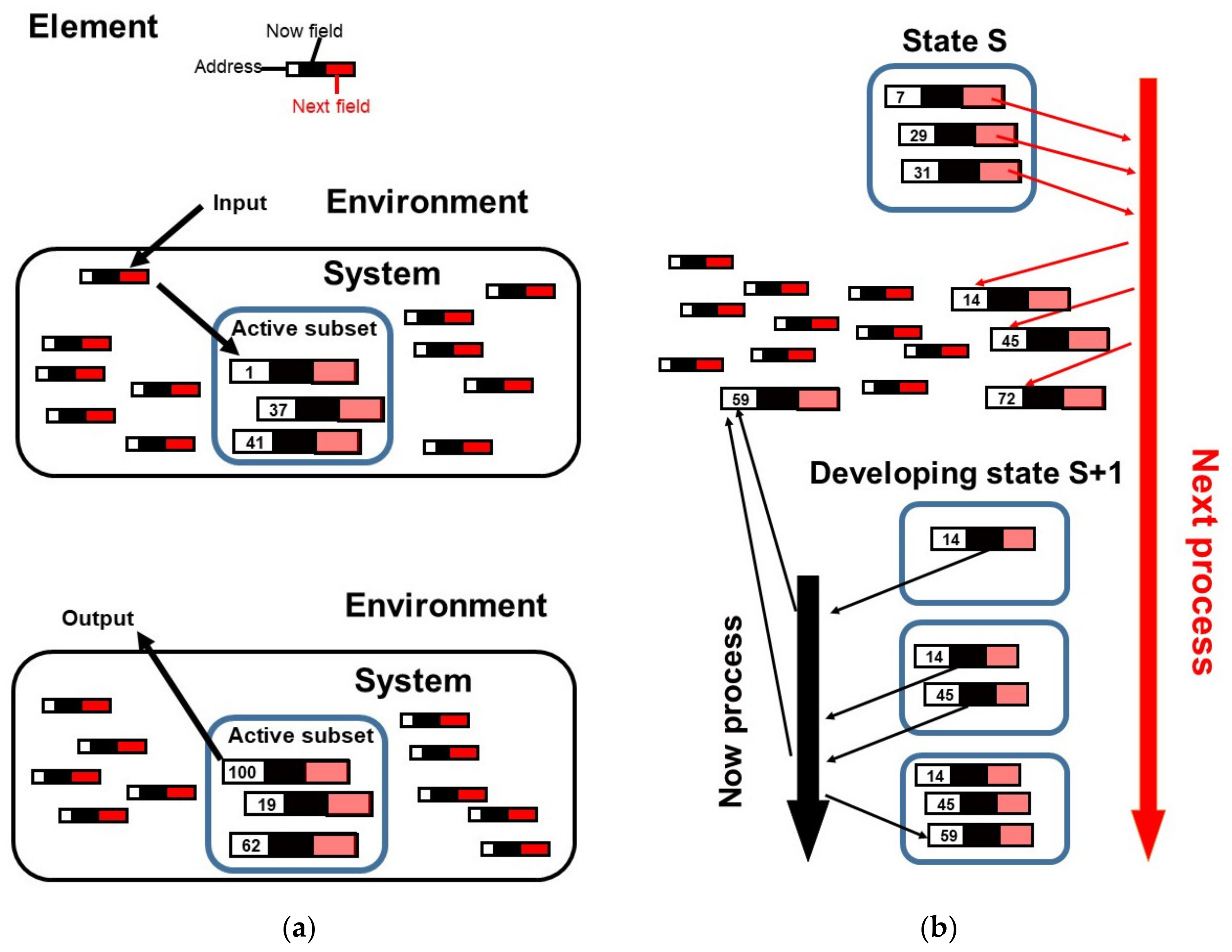 Biology Free Full-Text Competitive Coherence Generates Qualia in Bacteria and Other Living Systems