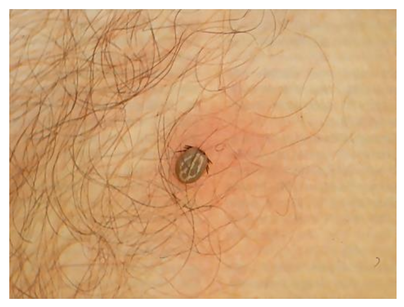 Biology 10 01036 g002