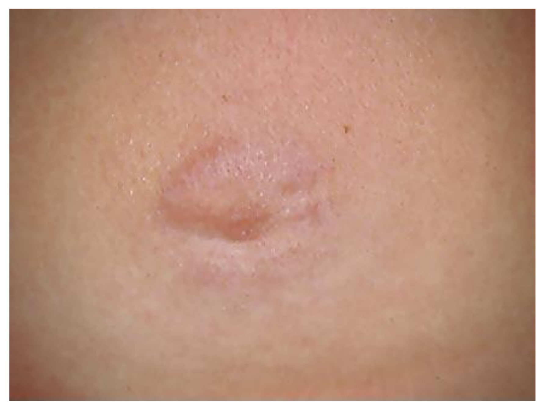 Biology 10 01036 g008