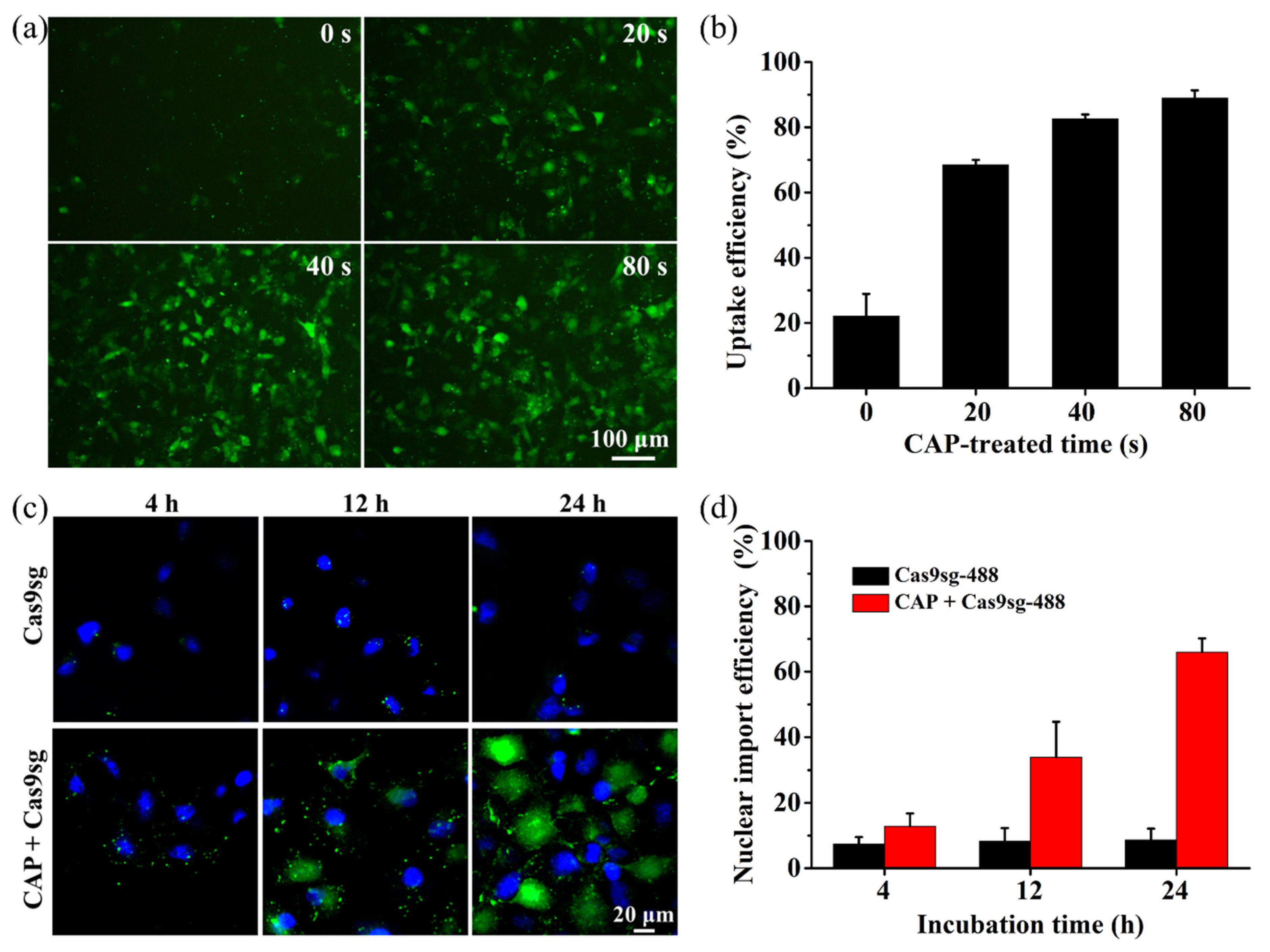 Biology 10 01038 g002