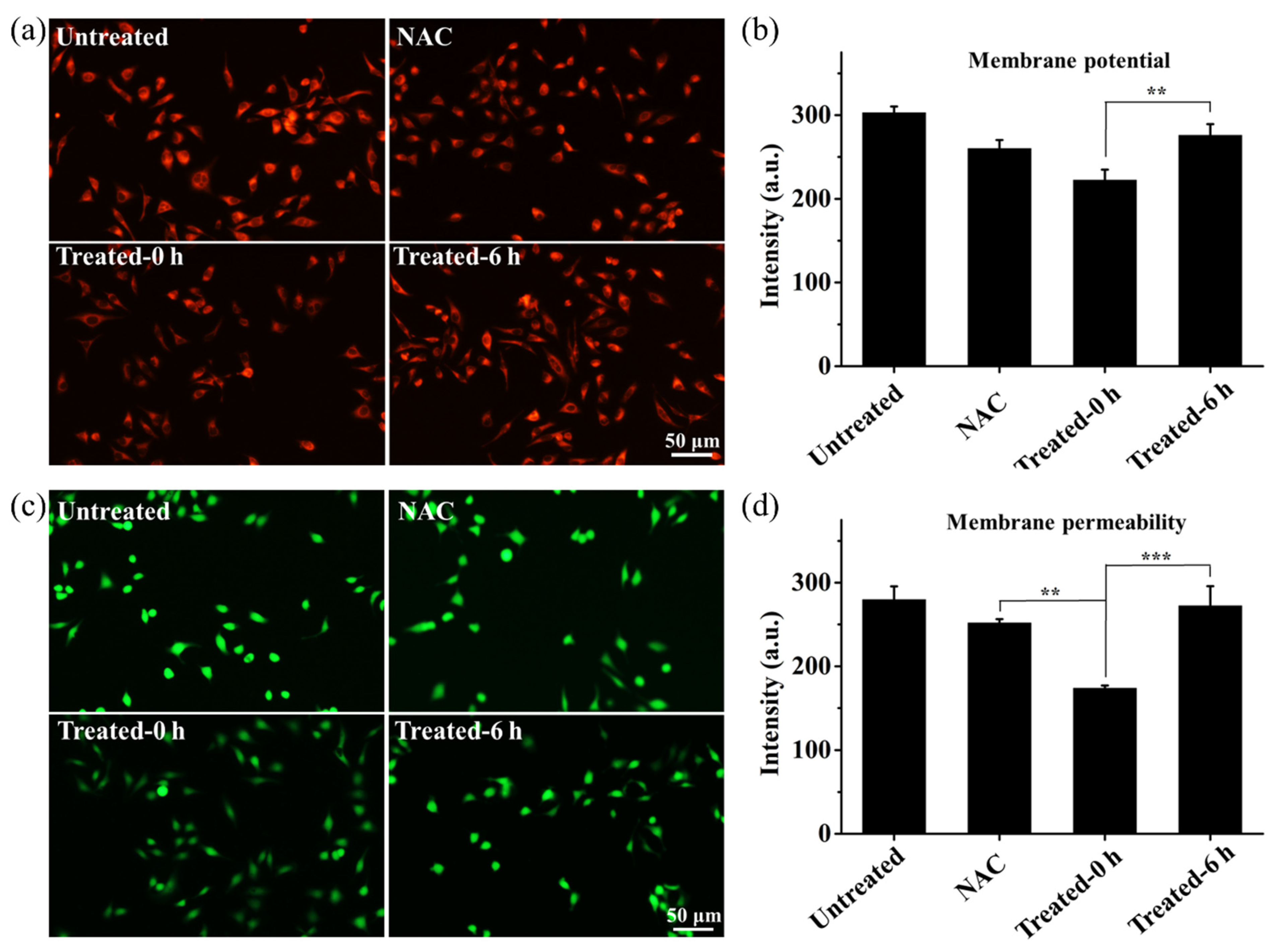 Biology 10 01038 g006