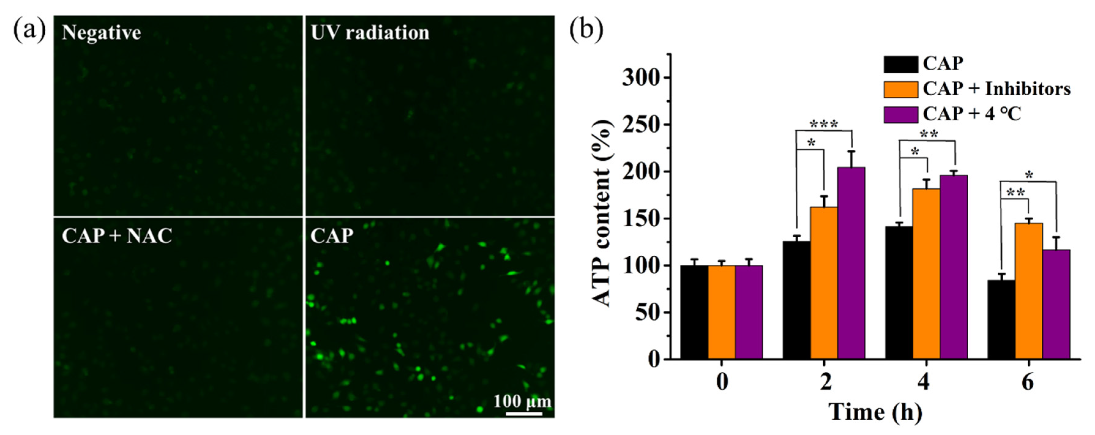 Biology 10 01038 g007
