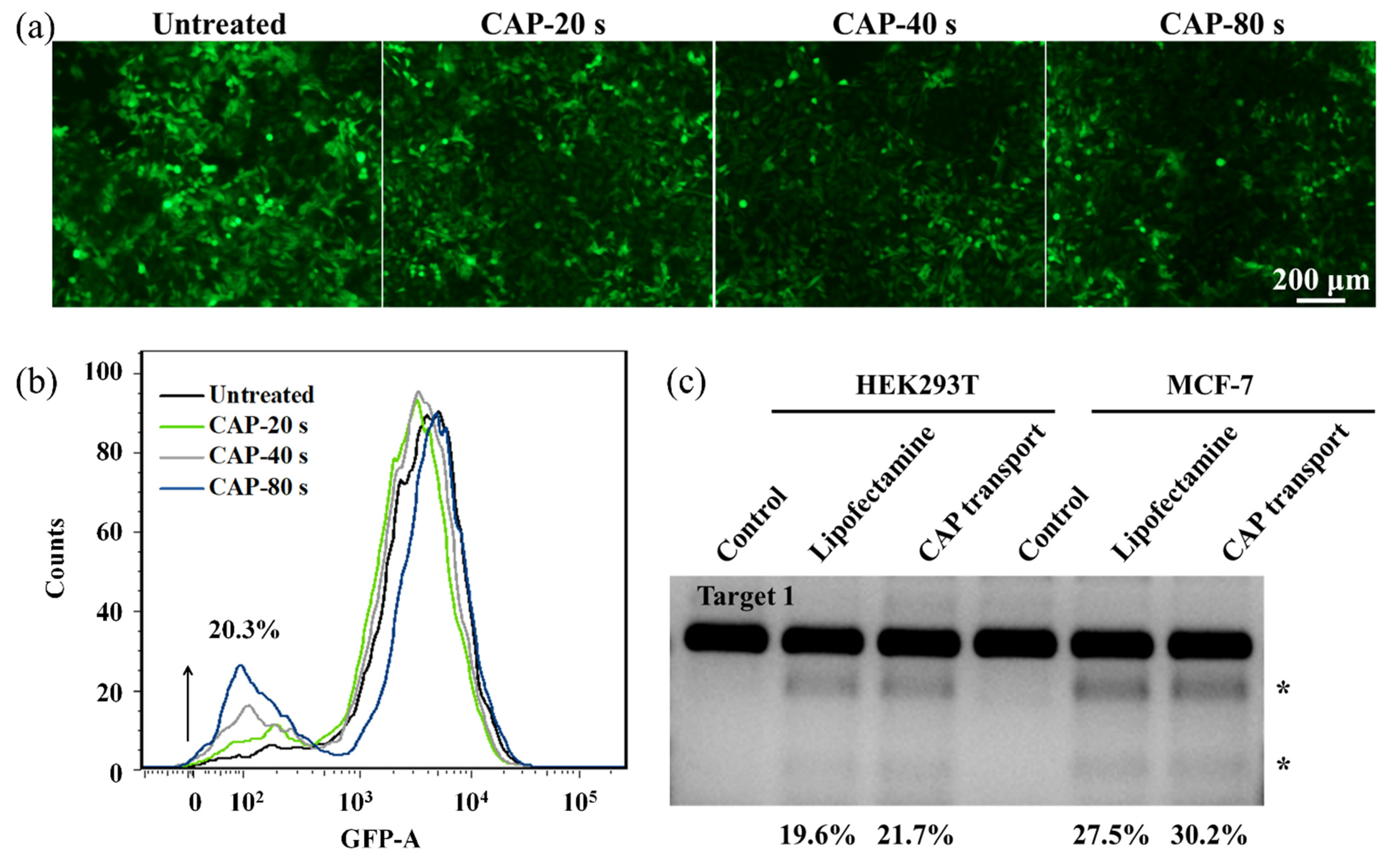 Biology 10 01038 g008