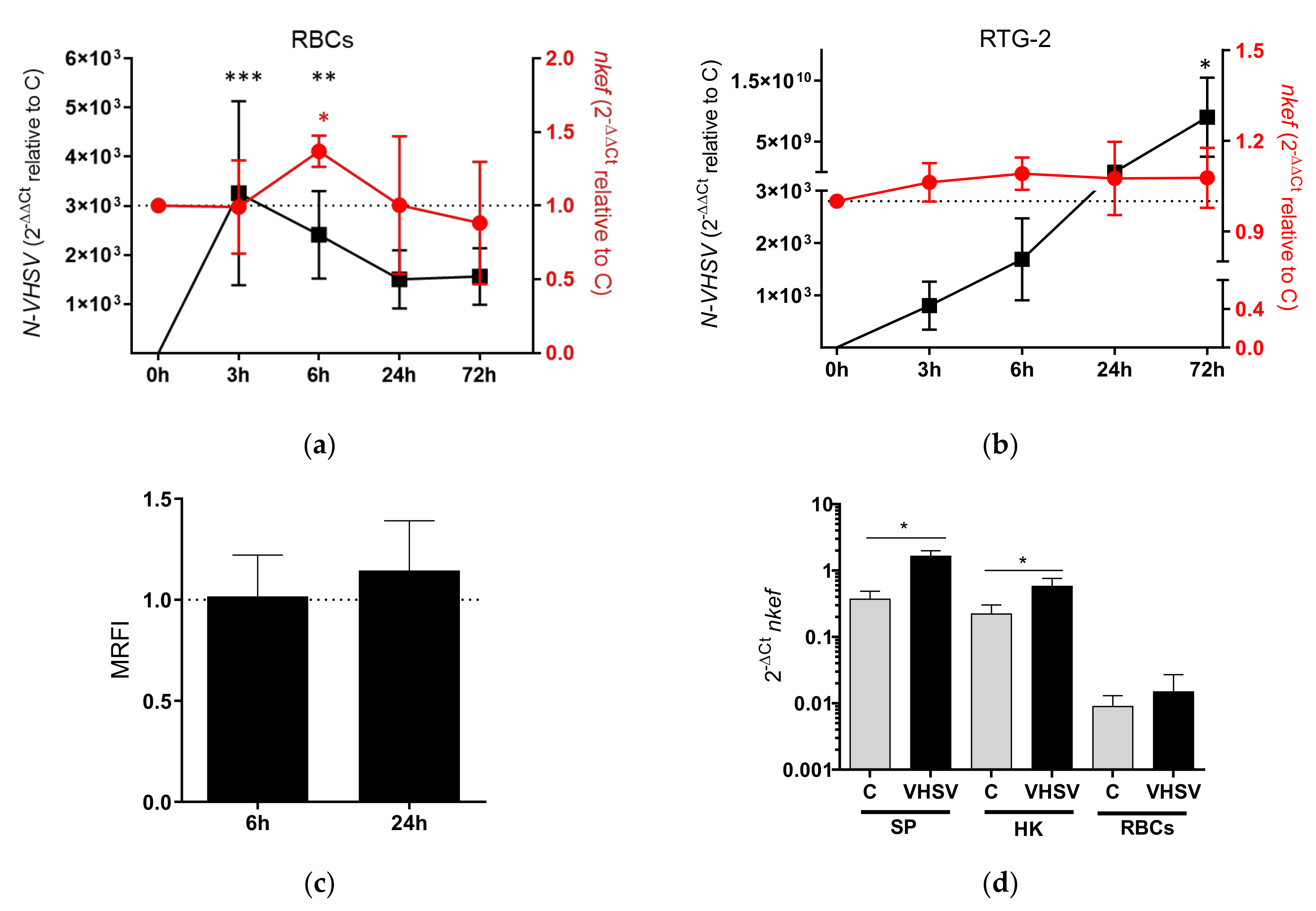 Biology 10 01045 g001