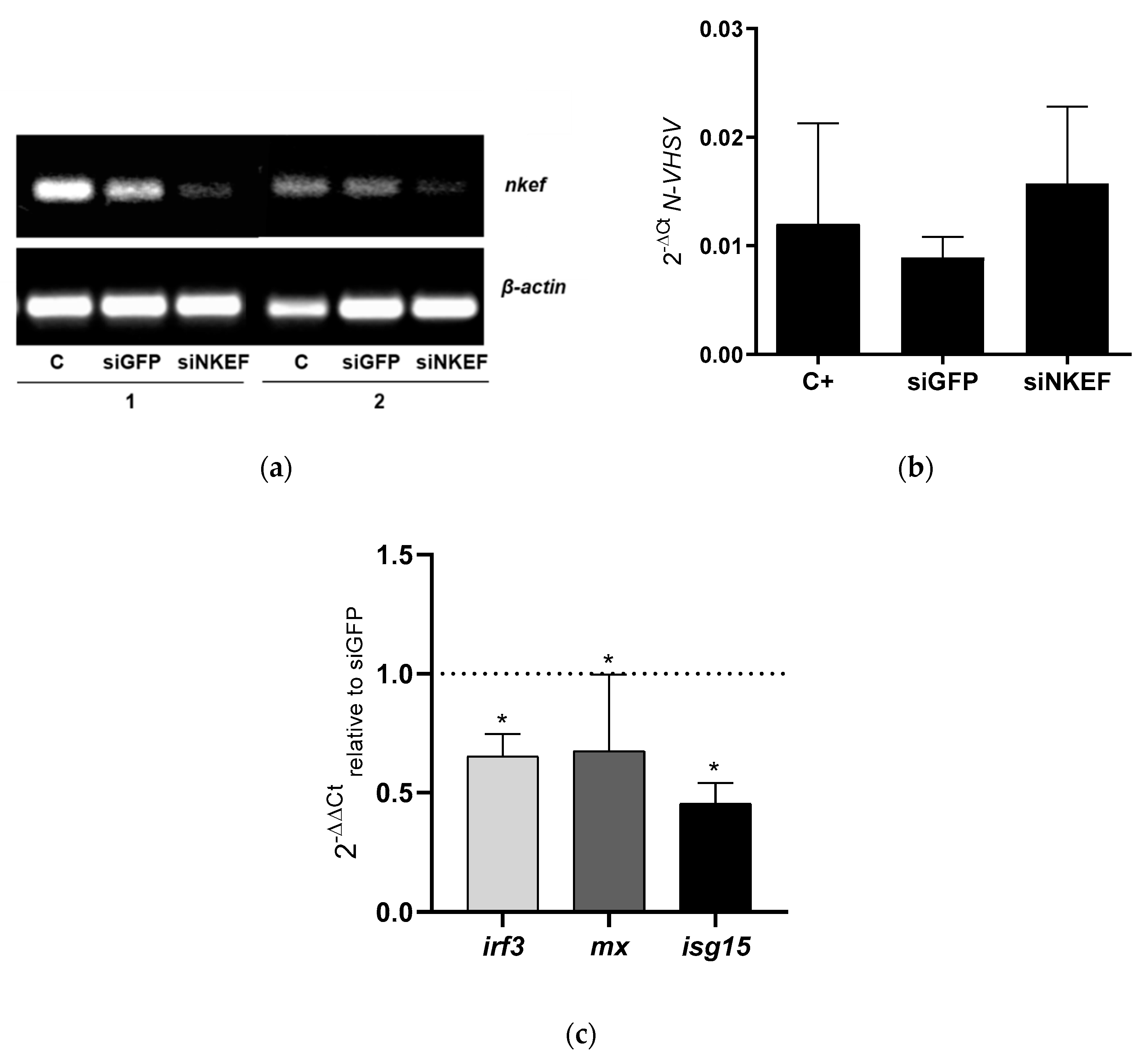 Biology 10 01045 g002