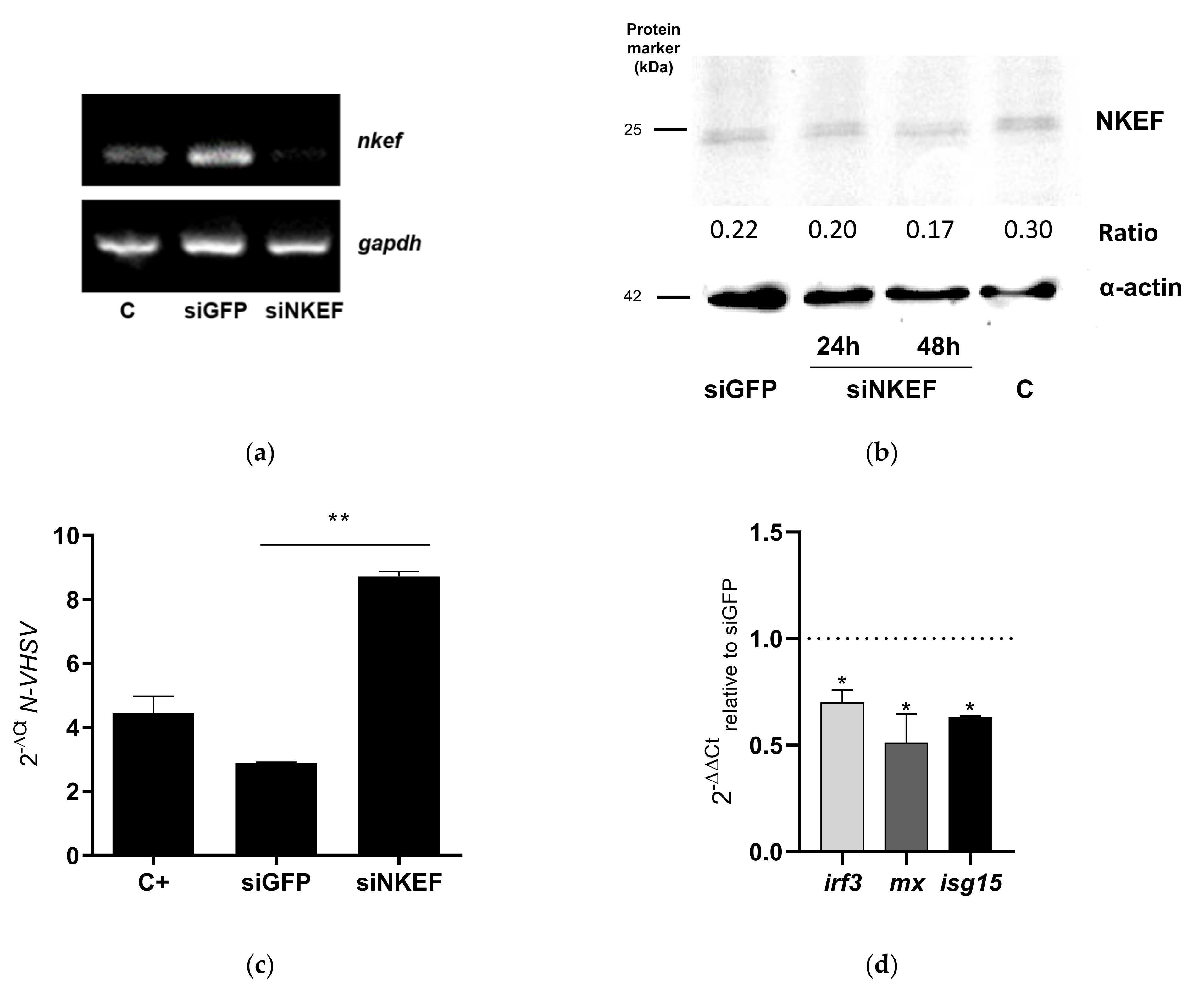 Biology 10 01045 g003