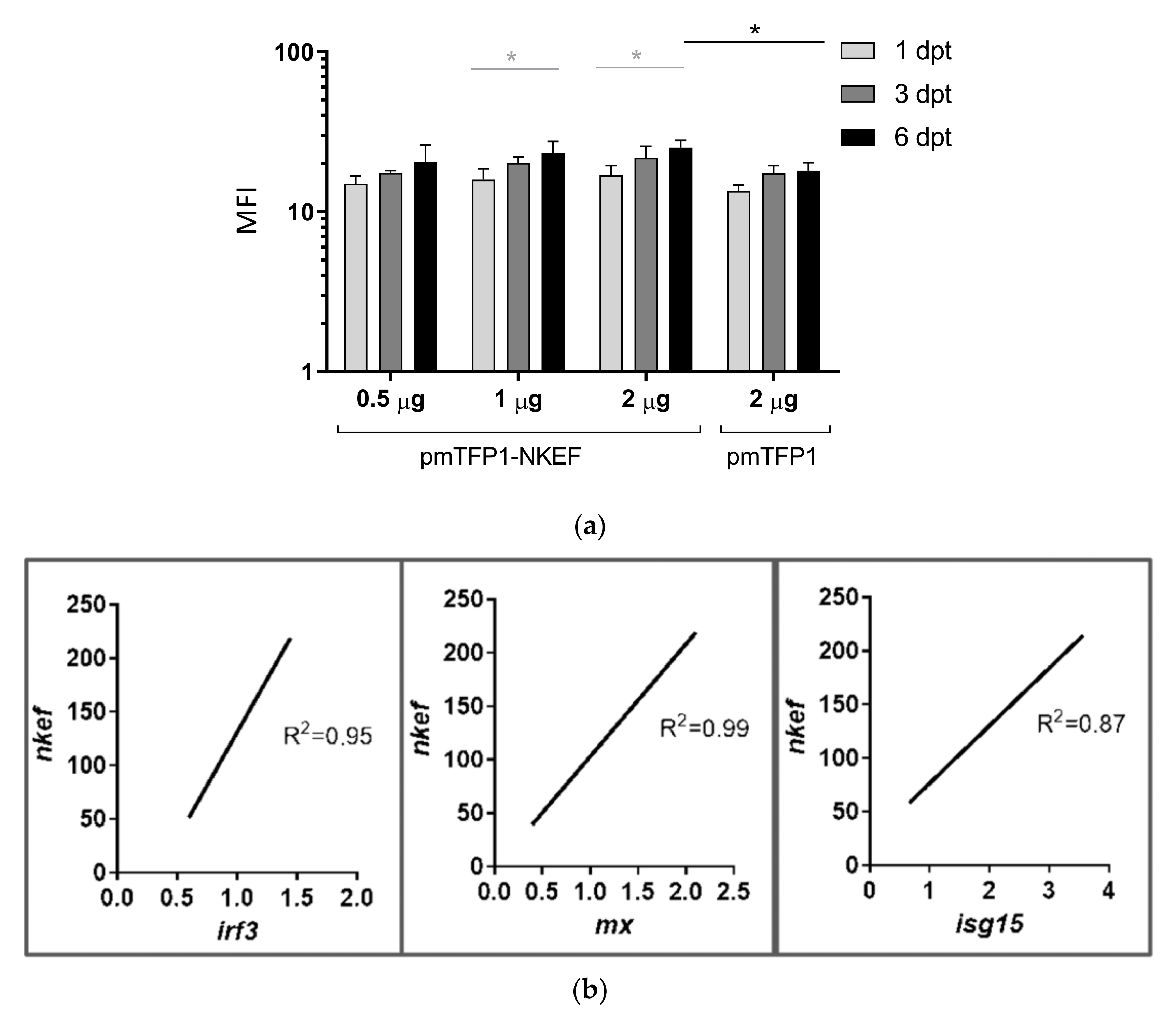 Biology 10 01045 g004