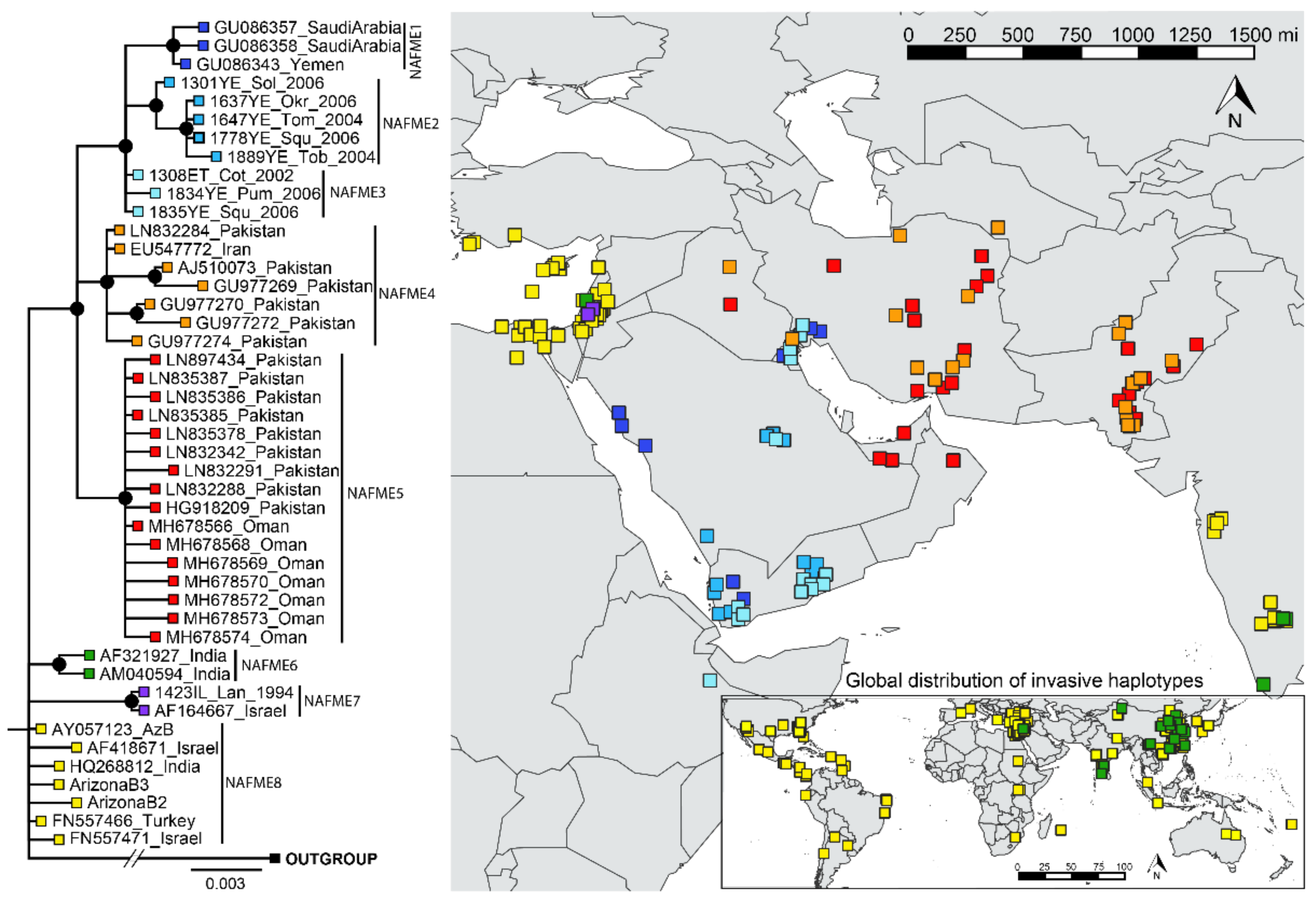 Biology 10 01048 g002