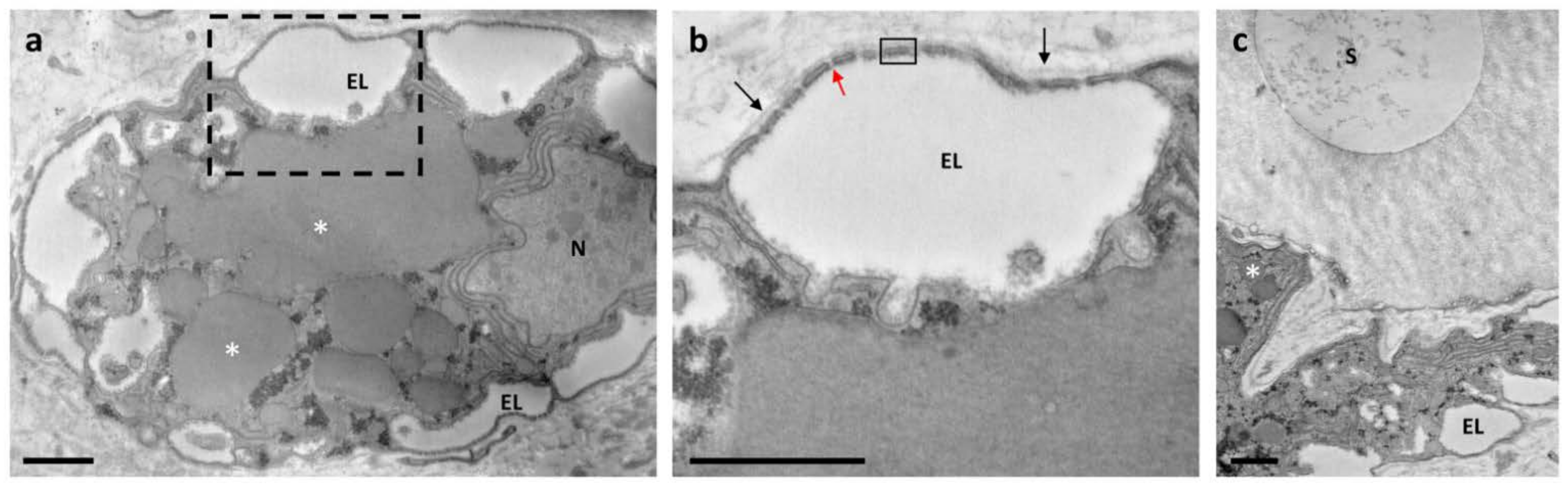Biology 10 01049 g002