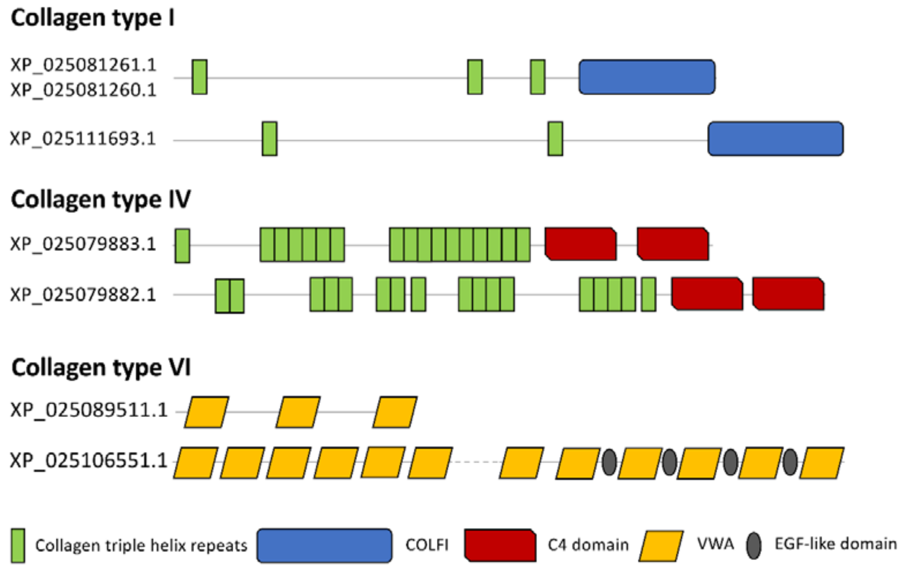 Biology 10 01049 g007