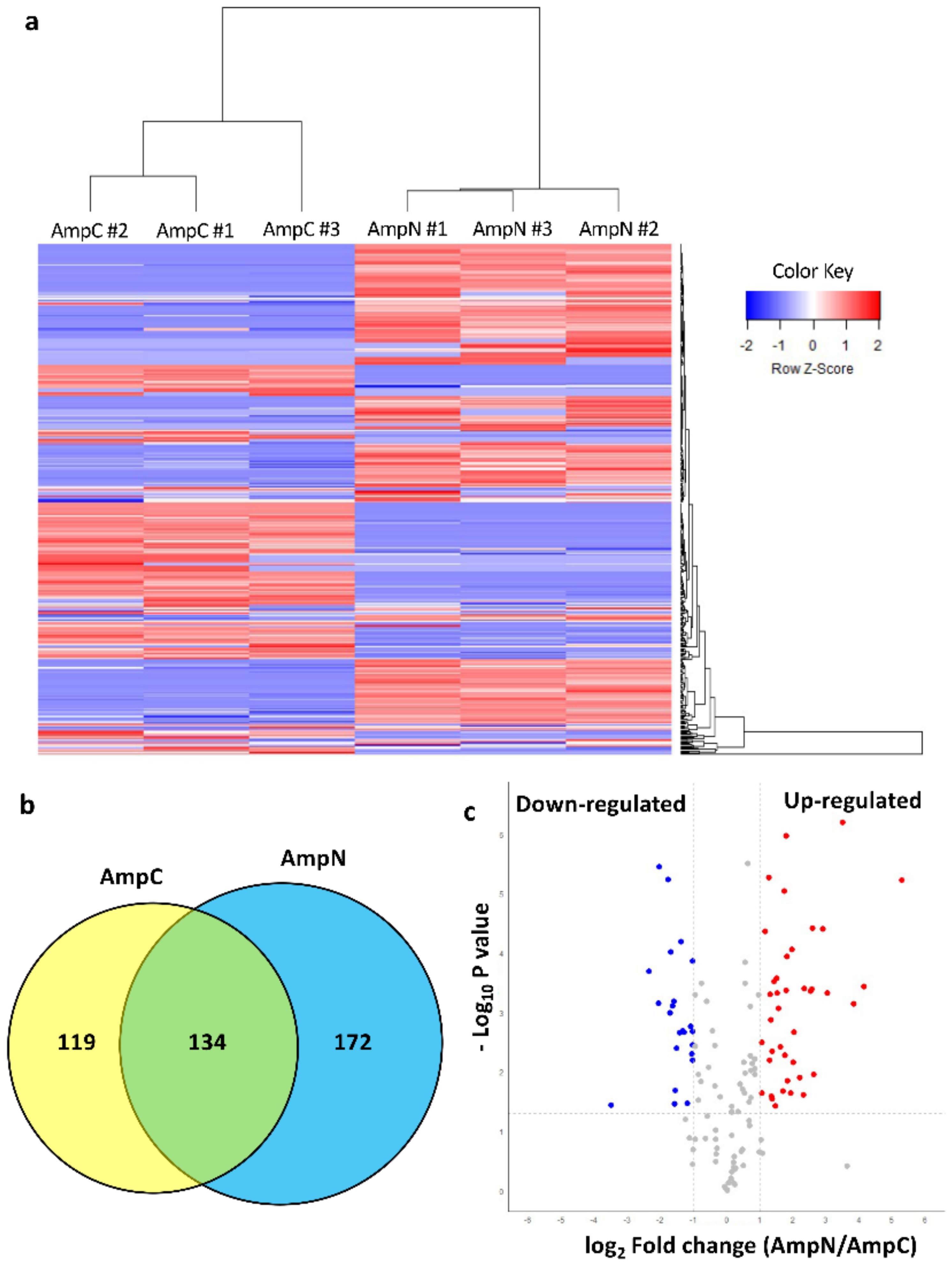 Biology 10 01049 g009