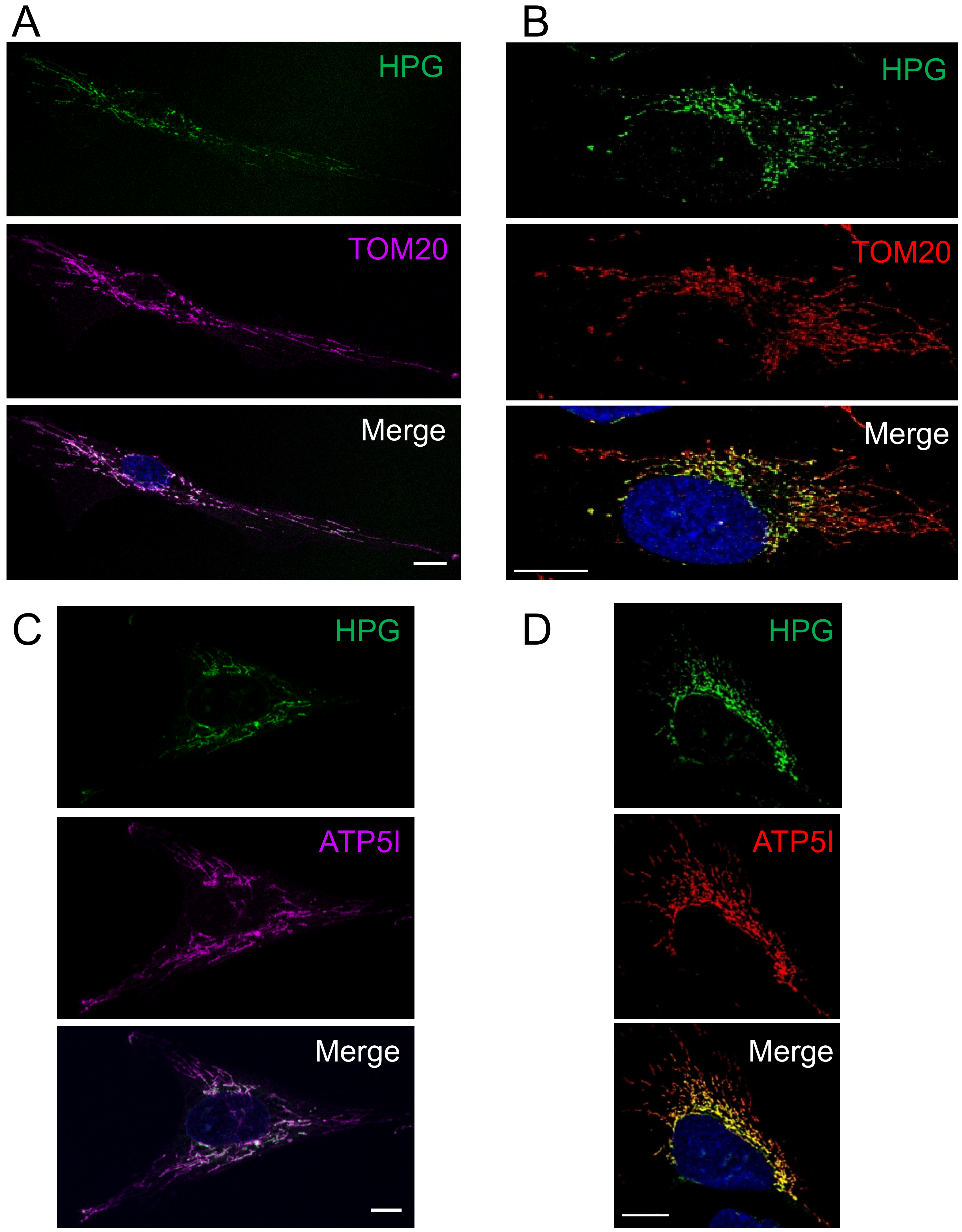 Biology 10 01050 g001 550