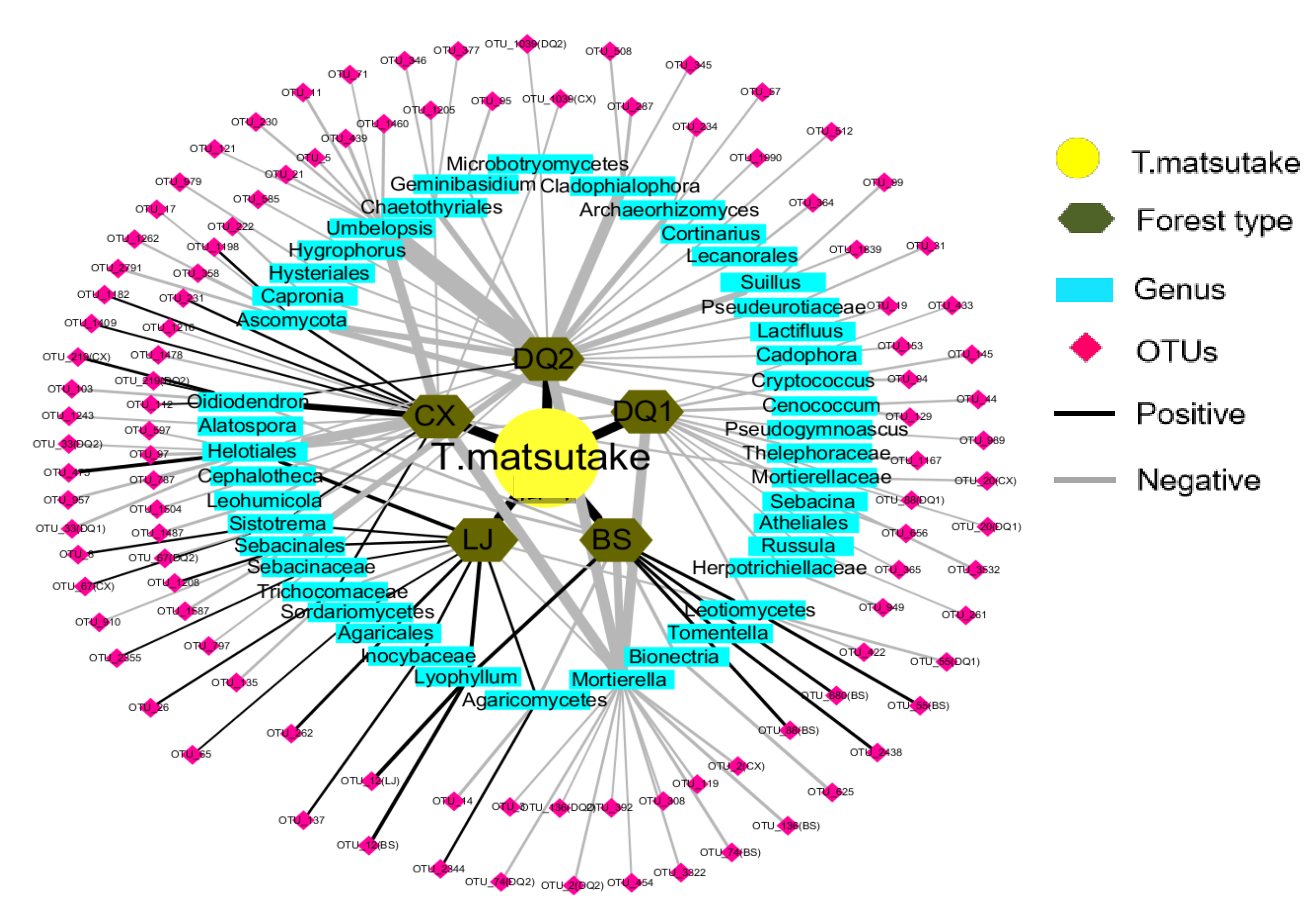 Biology 10 01051 g004 Biology 10 01051 g004