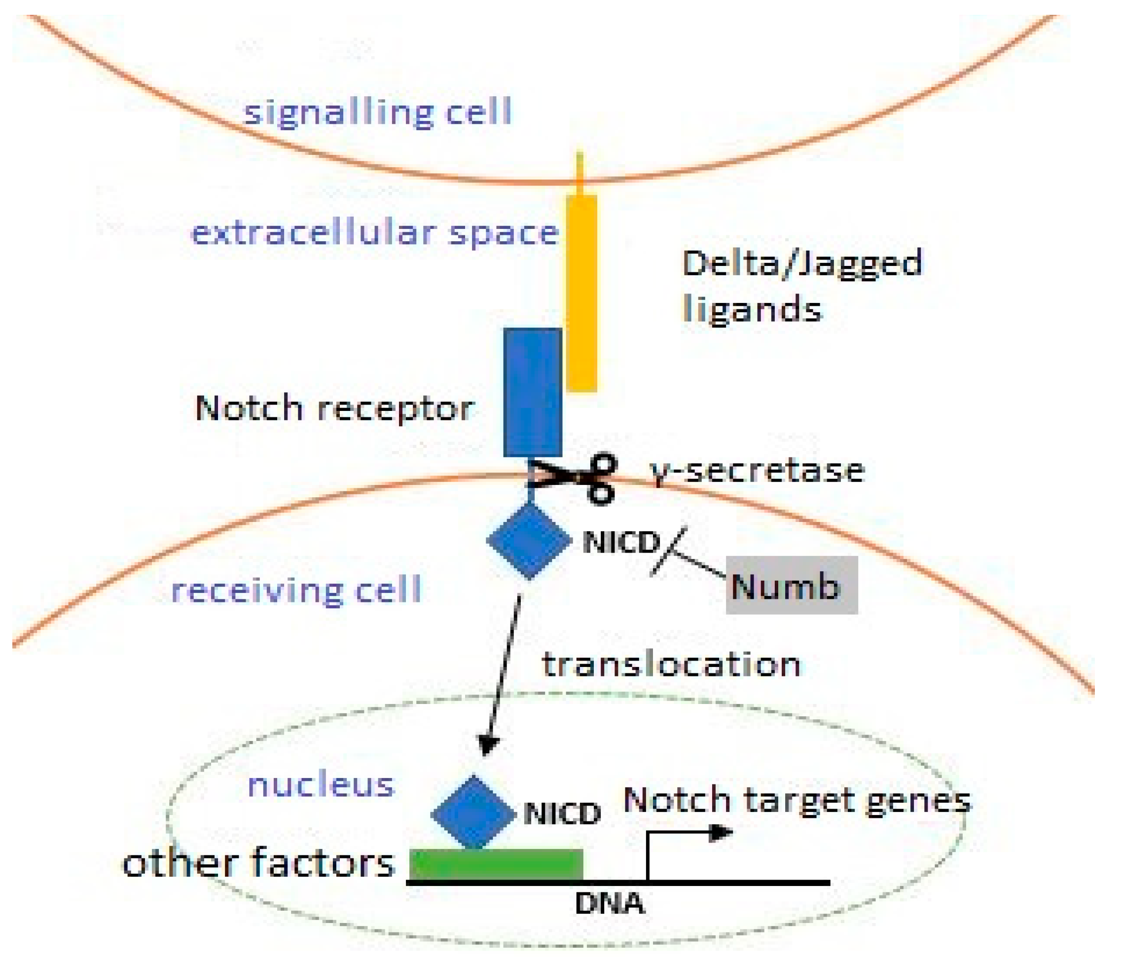 Biology 10 01056 g002