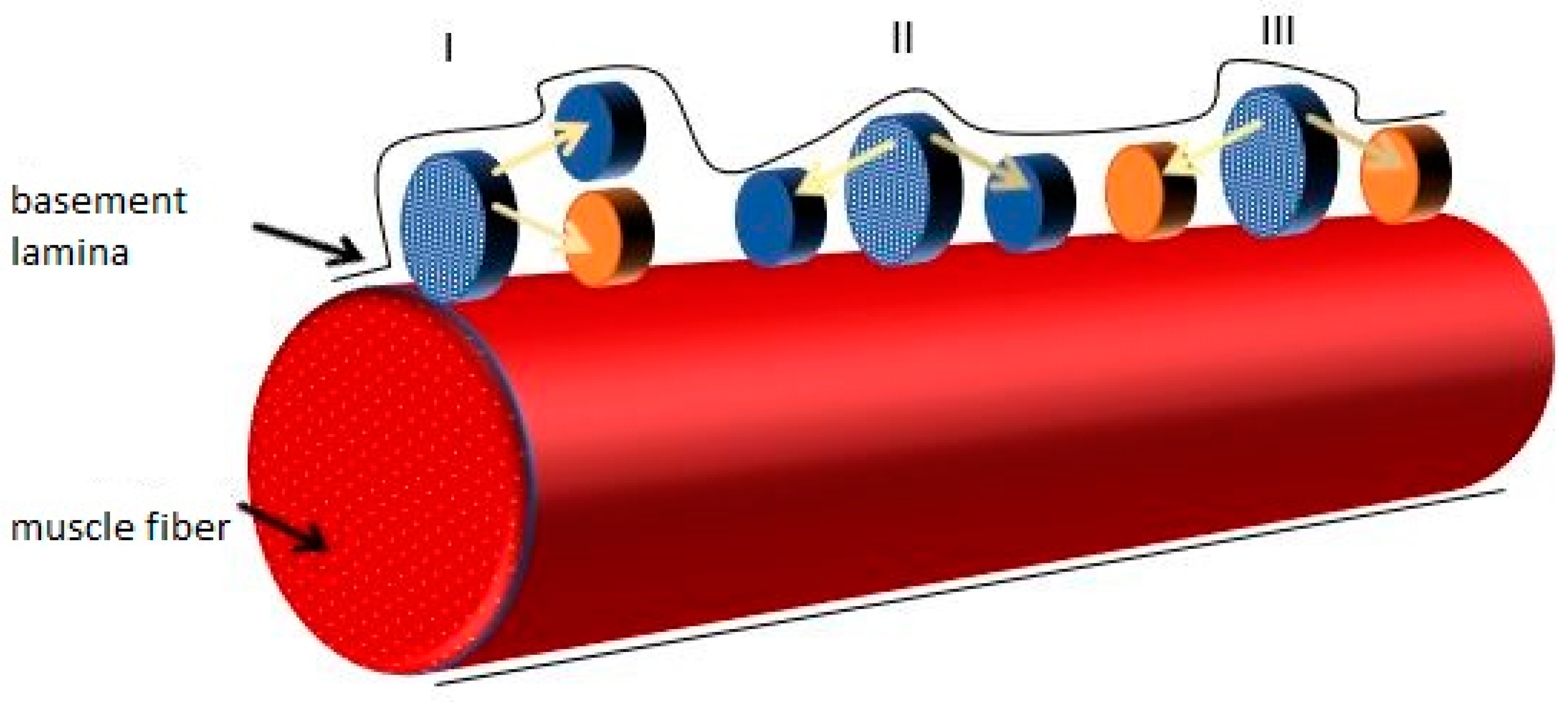 Biology 10 01056 g003