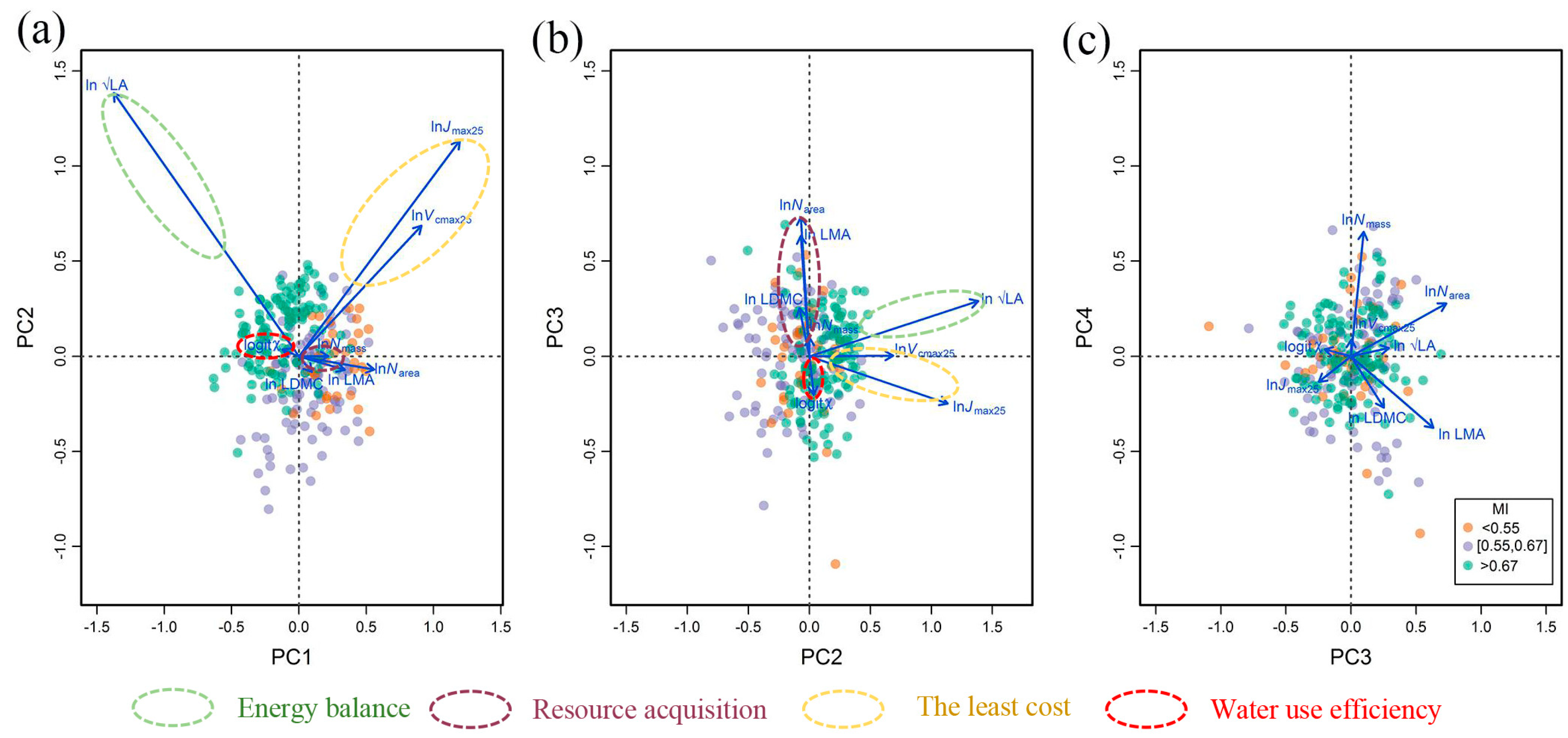 Biology 10 01066 g002