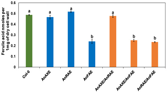 Biology Special Issue The Secrets Hidden In The Plant Cell Wall From Plant Biology And Biotechnology To Human Health