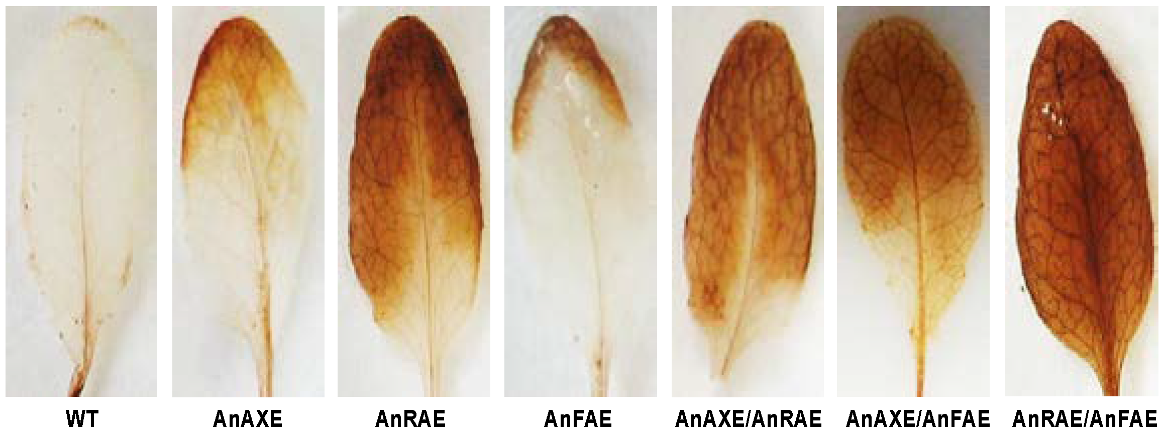 Biology 10 01070 g005