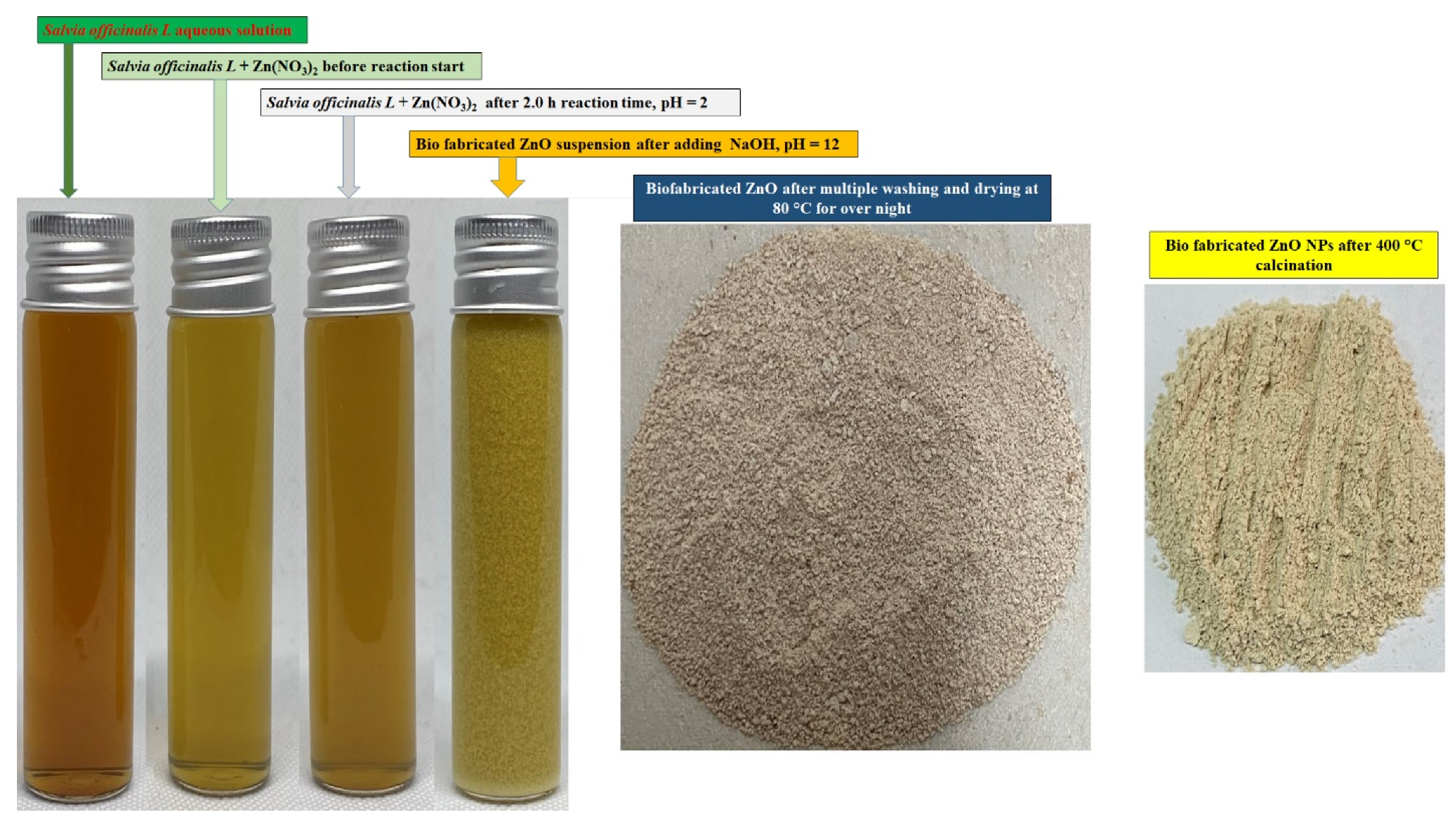 Biology 10 01075 g002