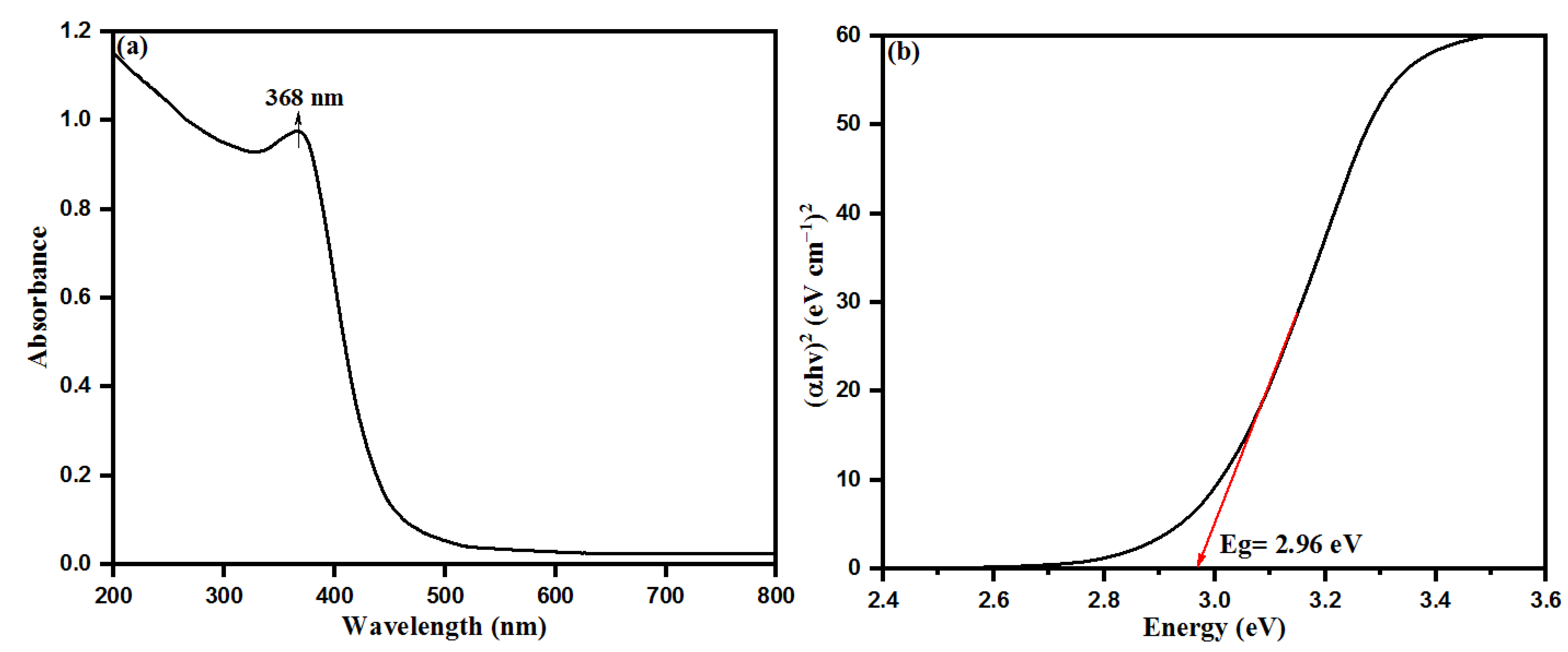 Biology 10 01075 g003